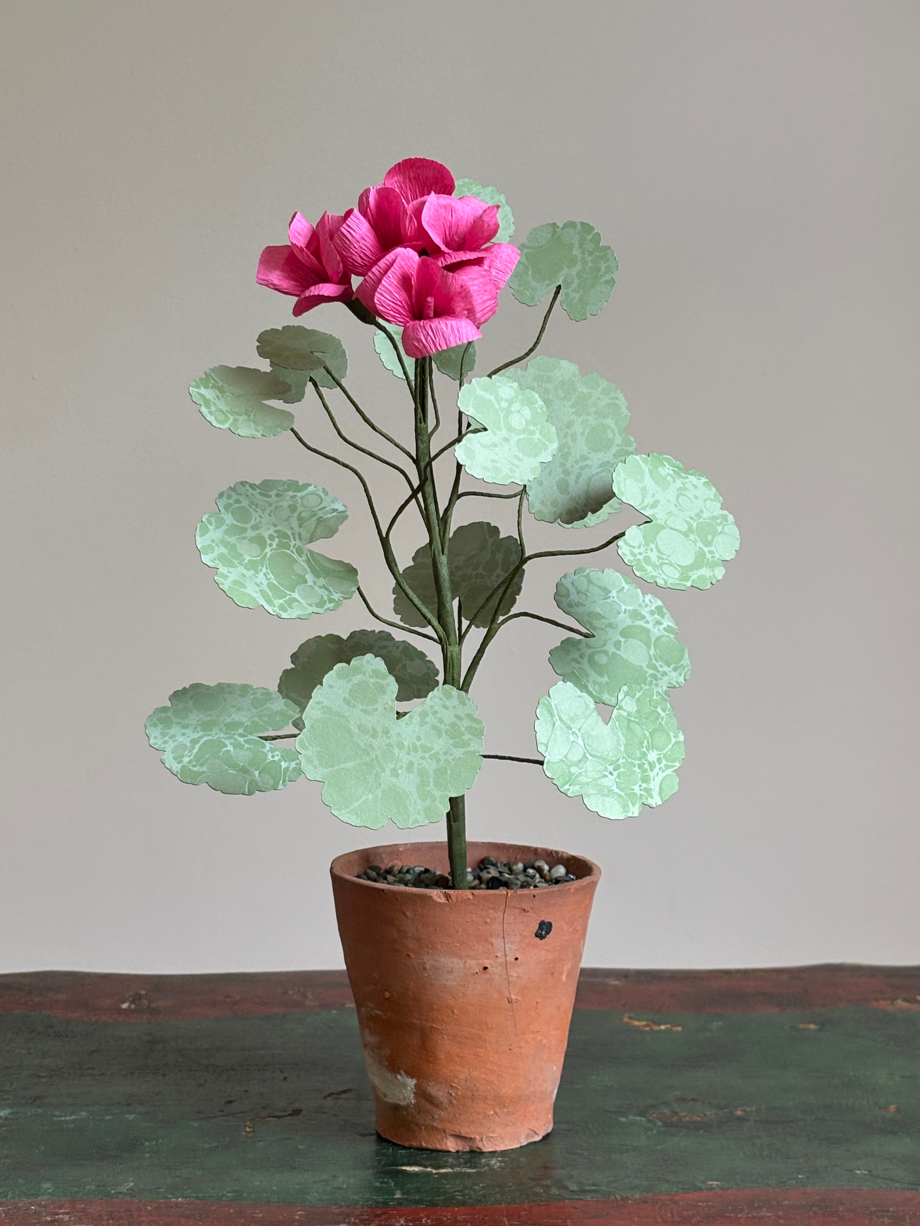 Paper Geranium