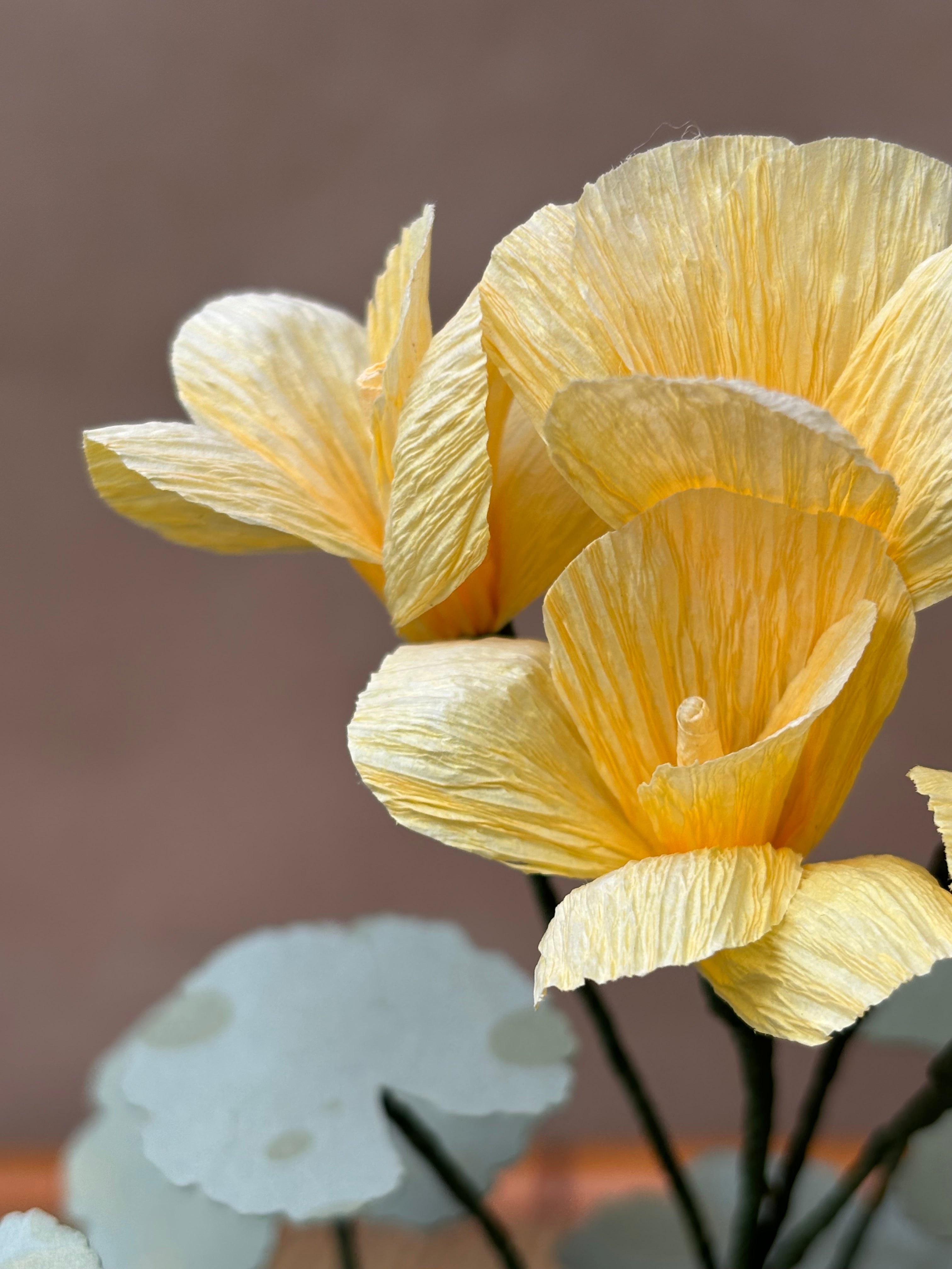 Paper Geranium