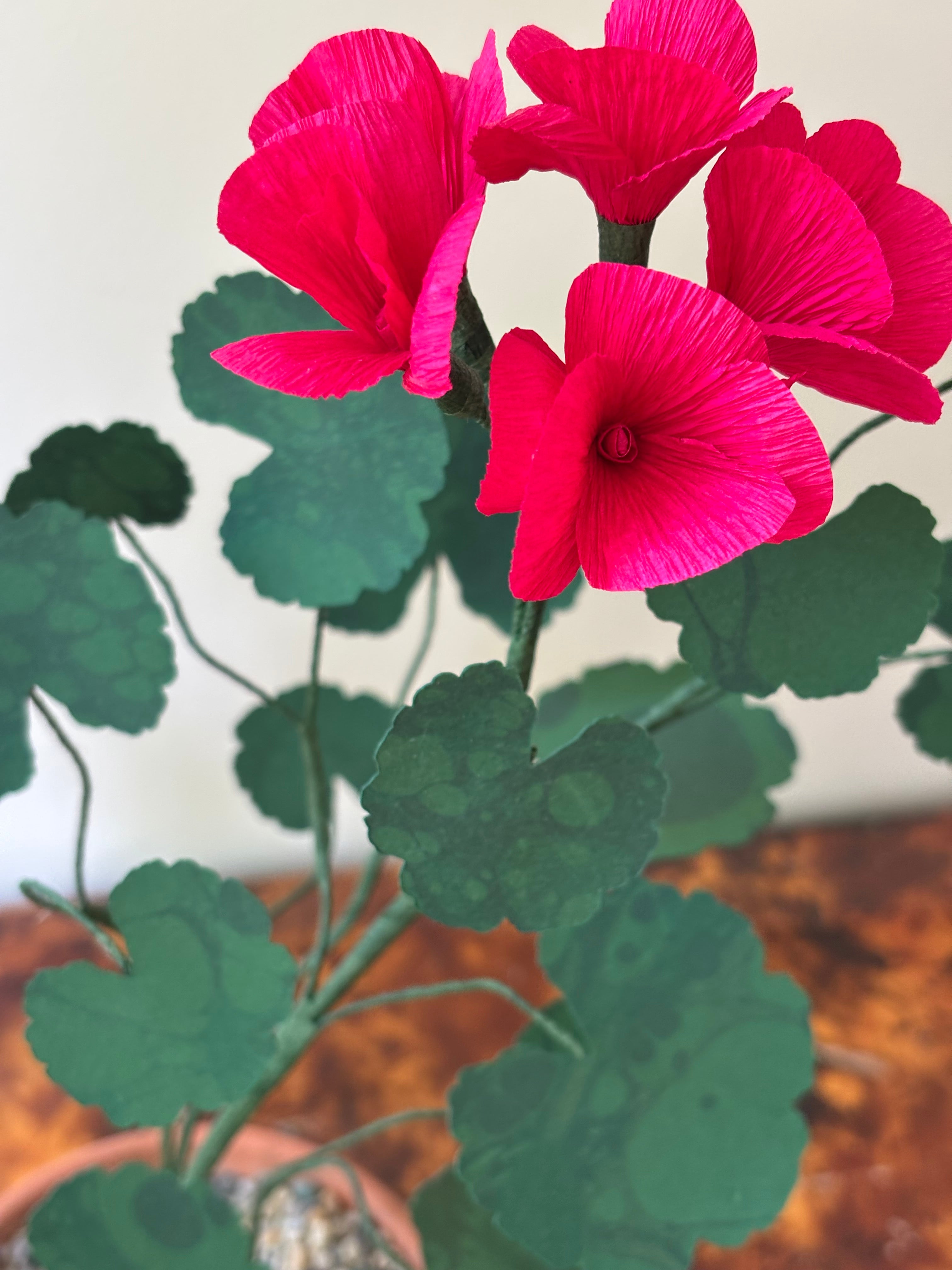 Paper Geranium