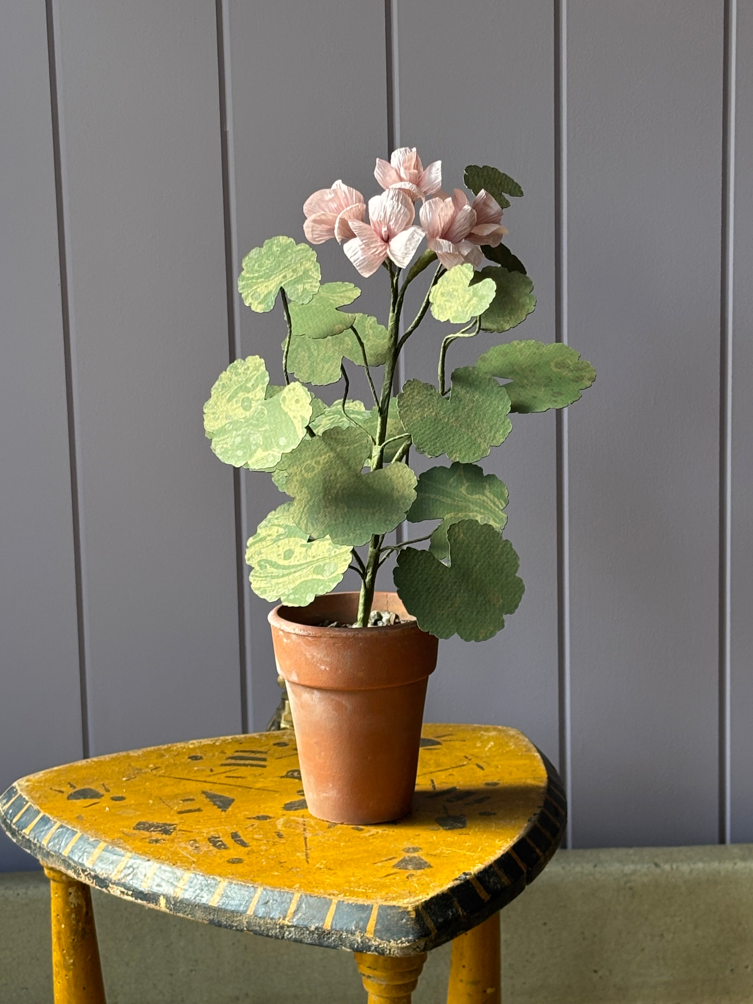 Paper Geranium