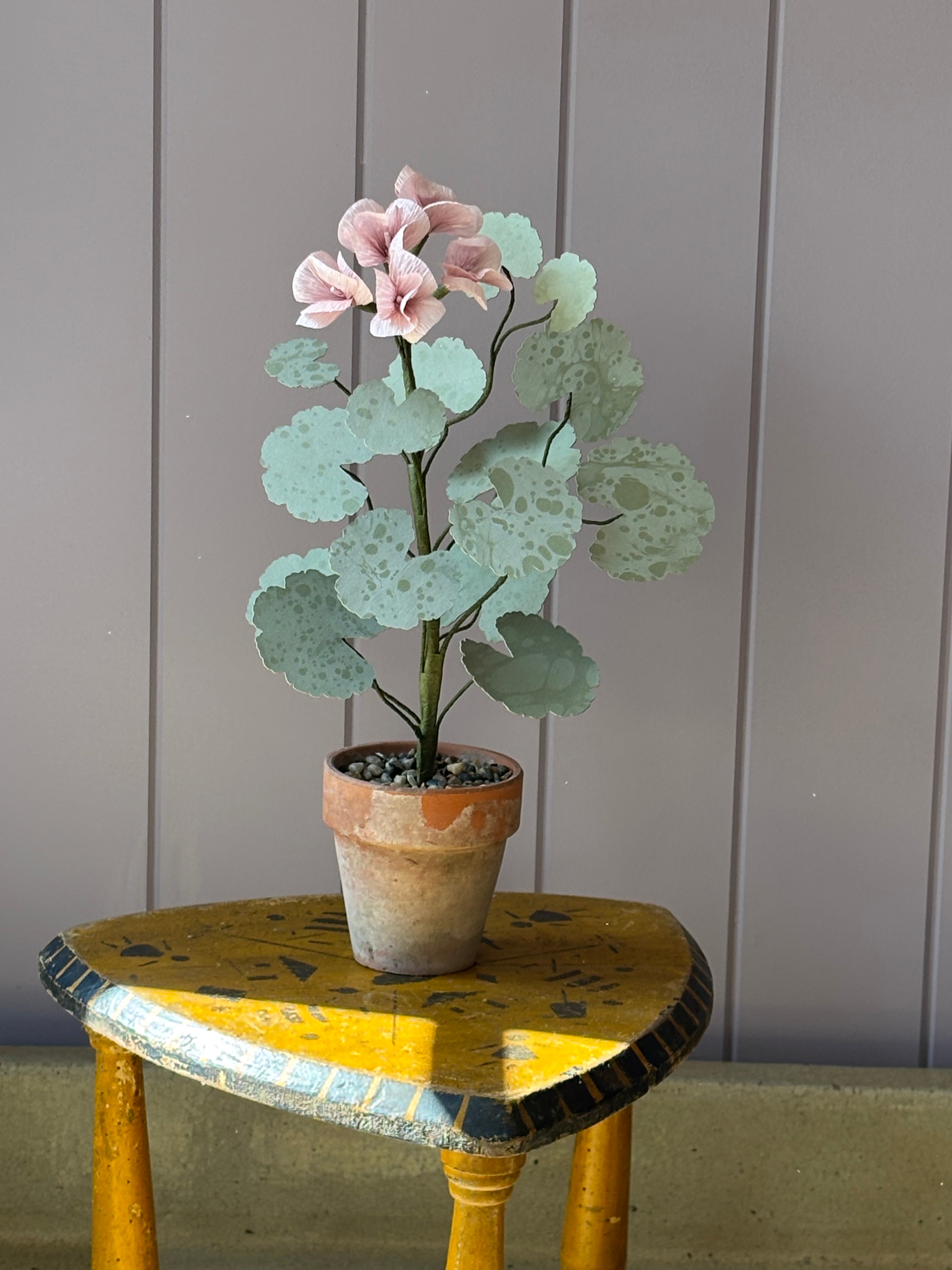 Paper Geranium