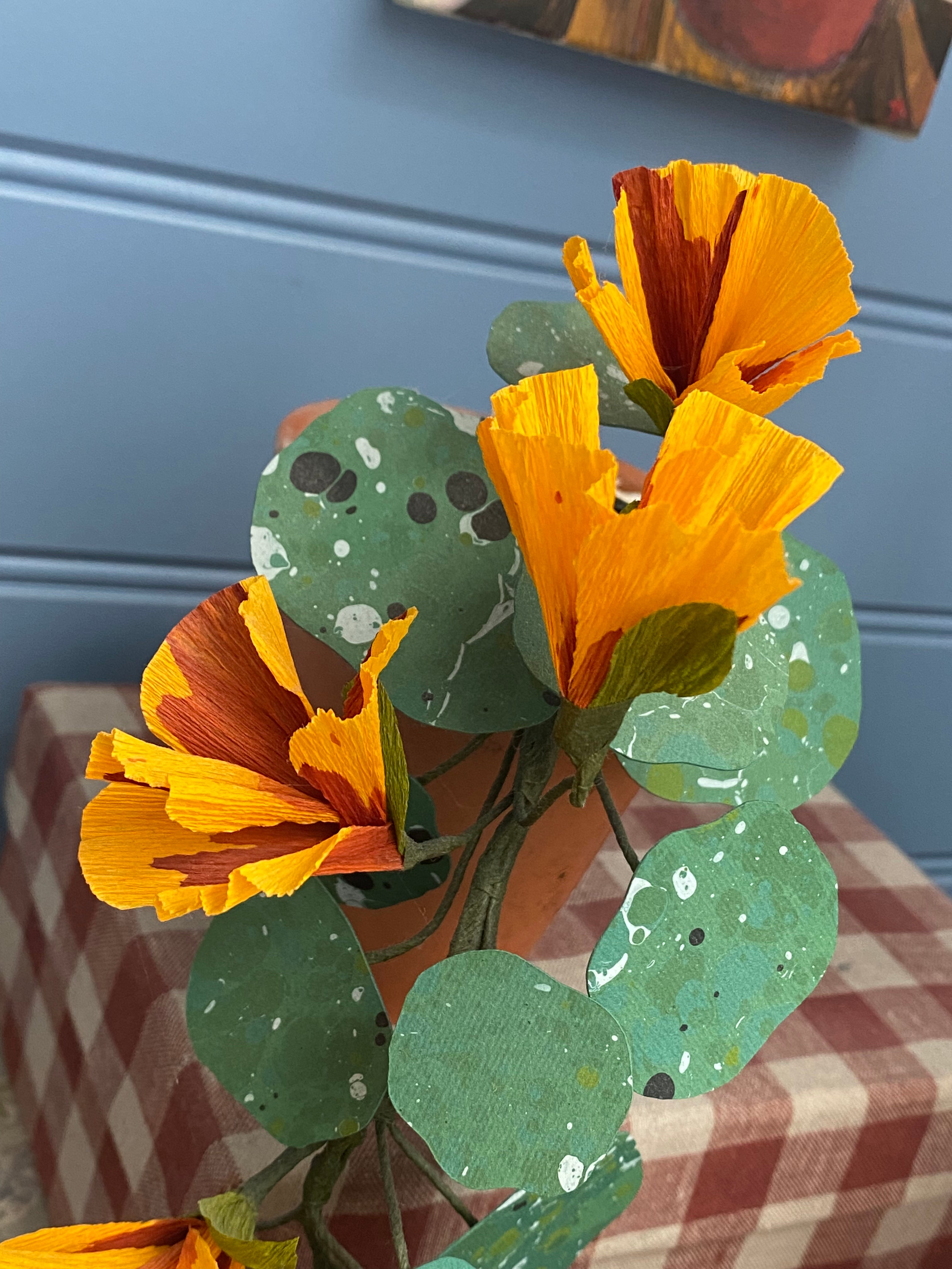 Paper Nasturtium