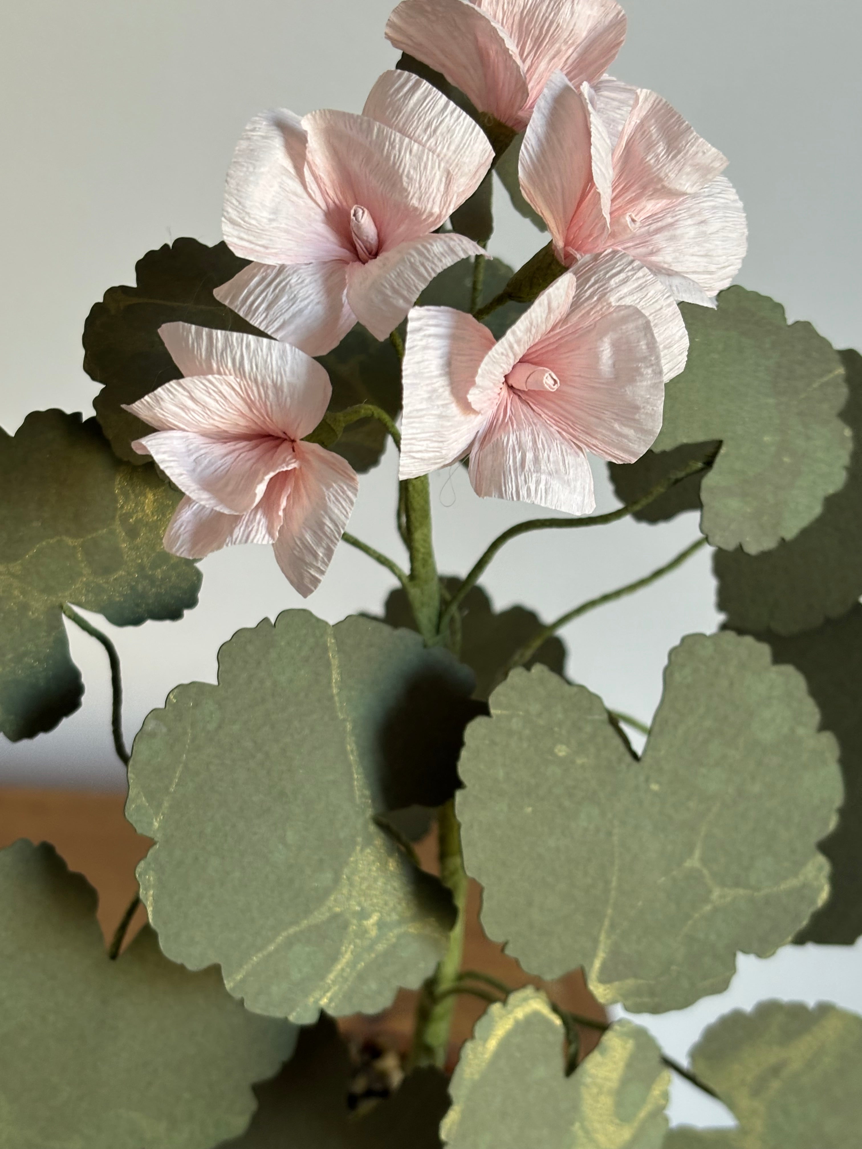 Paper Geranium nc