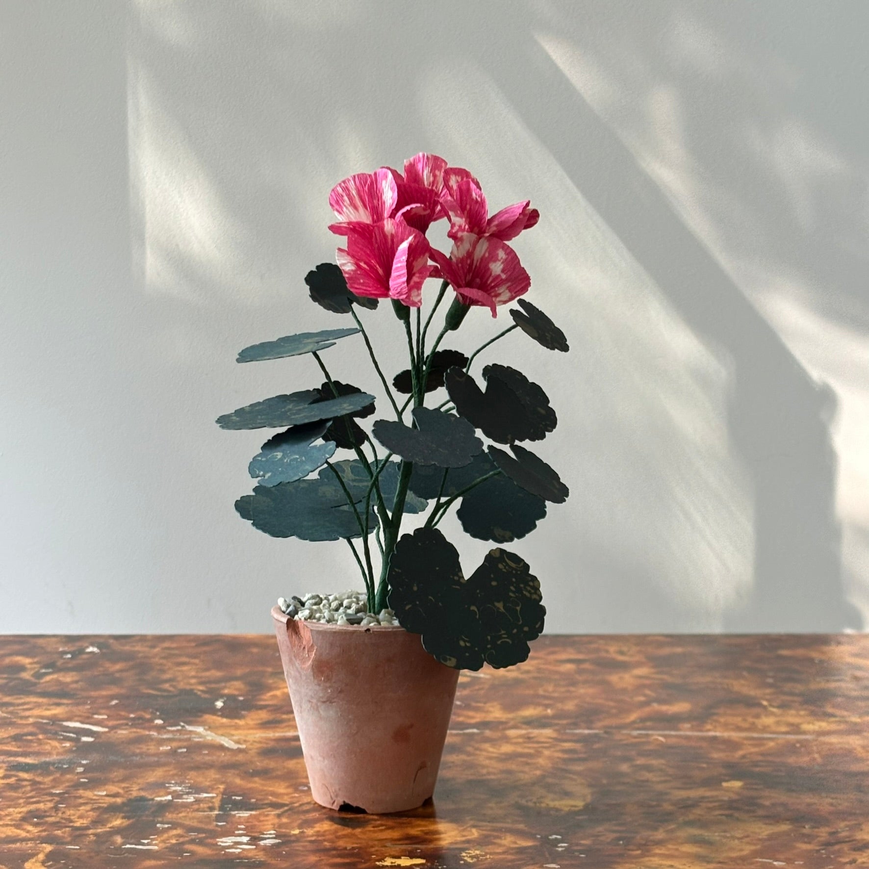 Paper Geranium