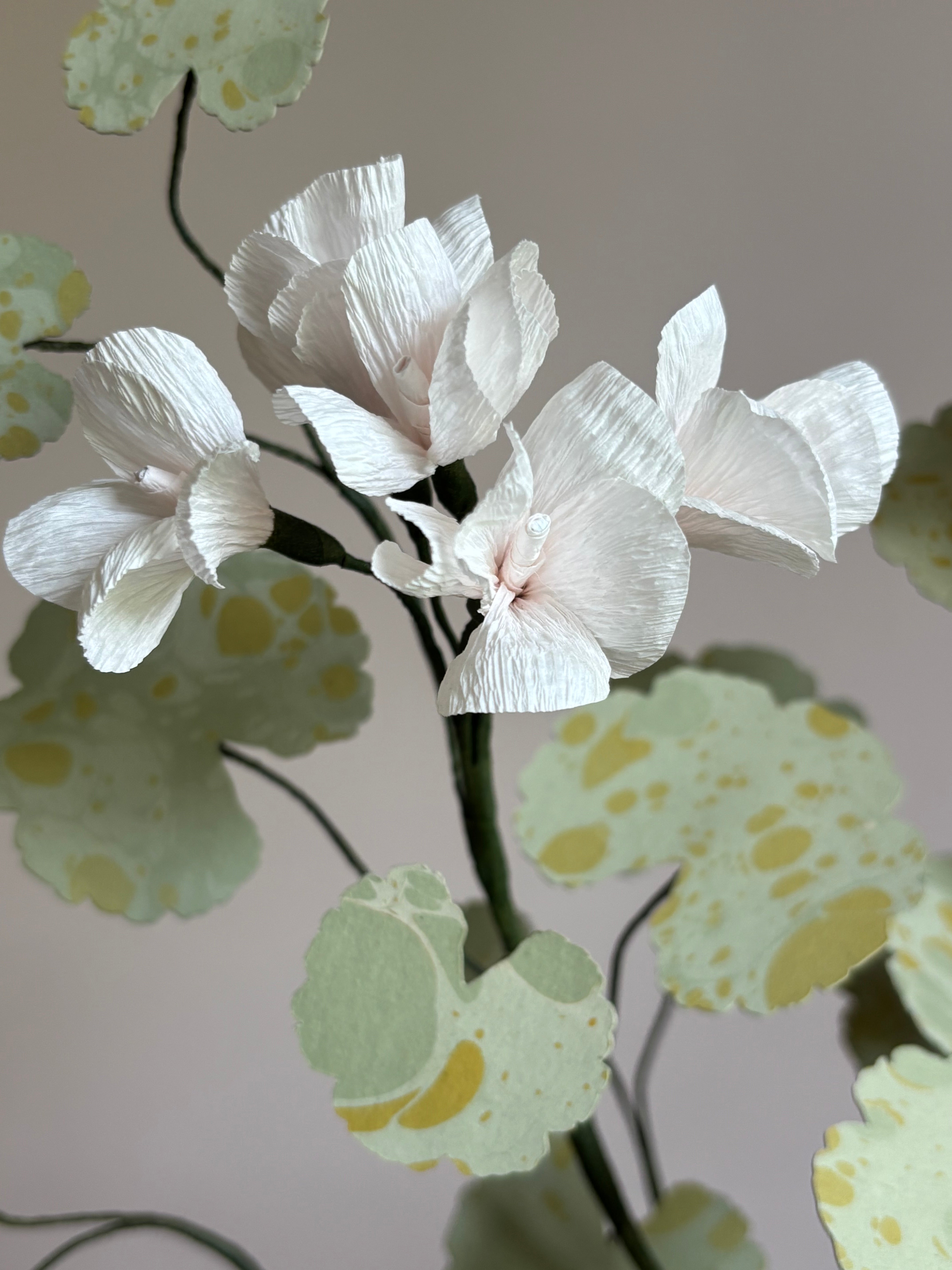 Paper Geranium