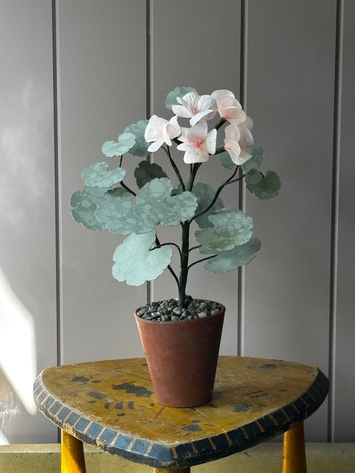 Paper geranium