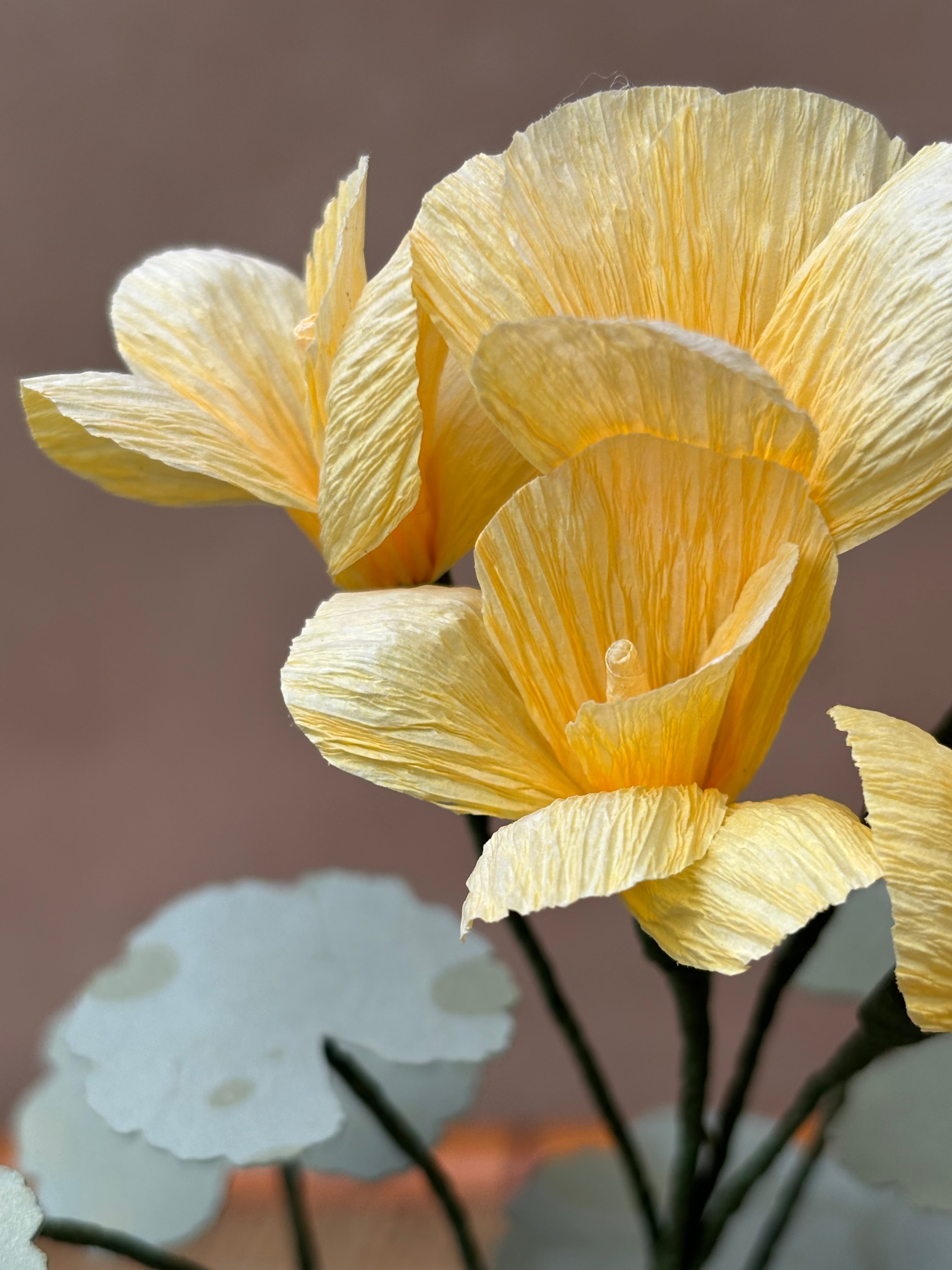 Paper Geranium