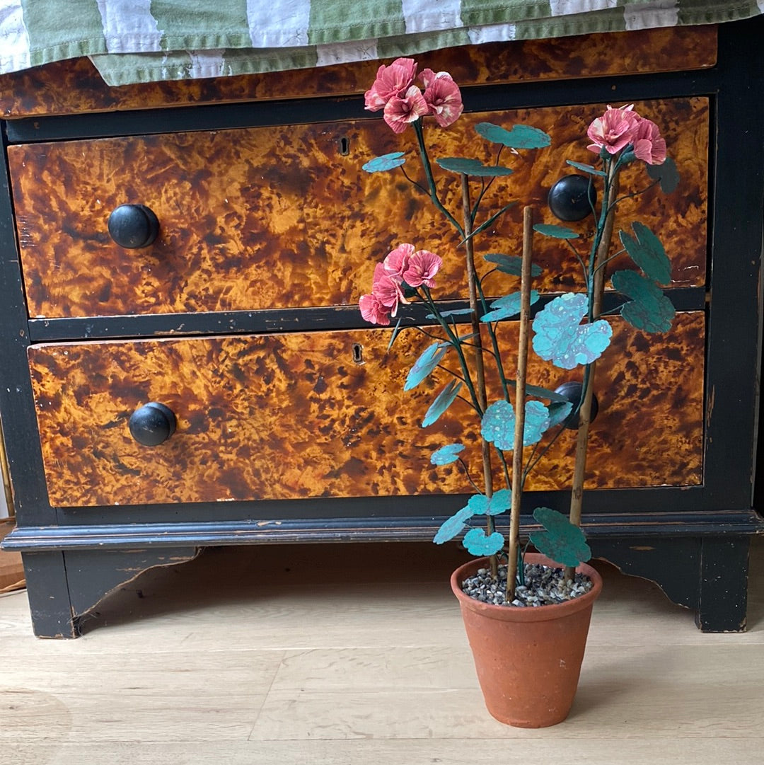 Paper Geranium