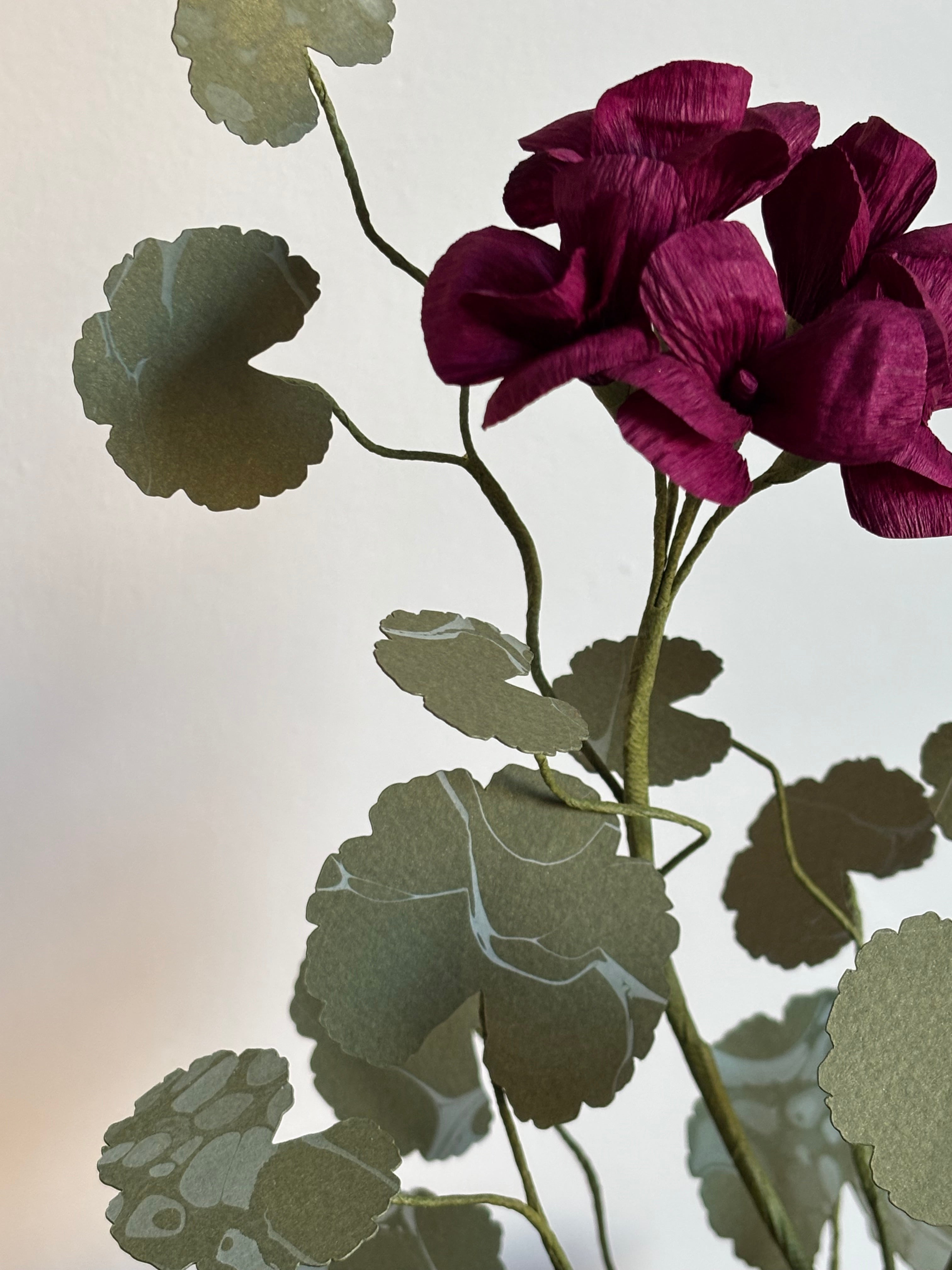 Paper Geranium