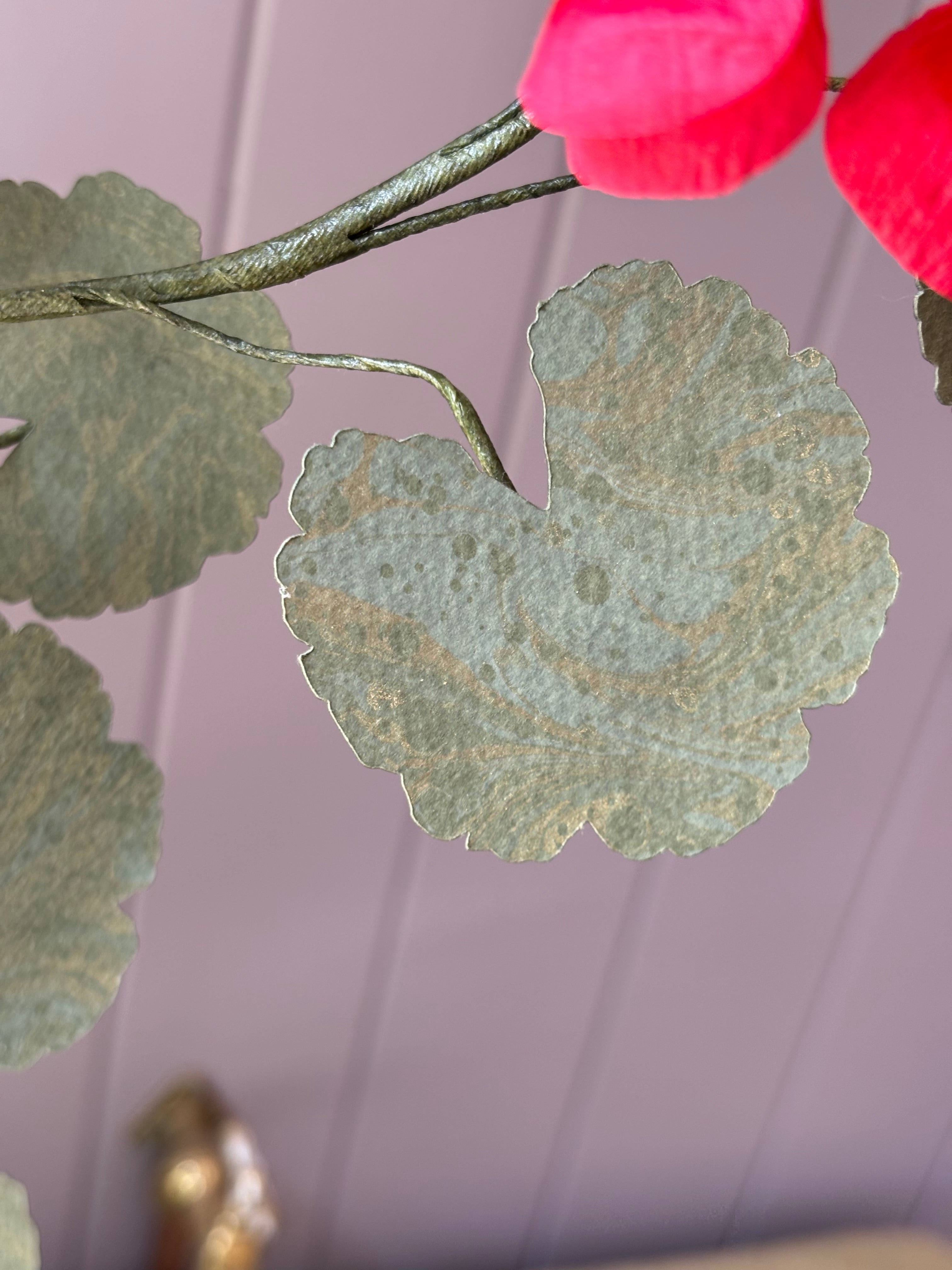 Paper geranium