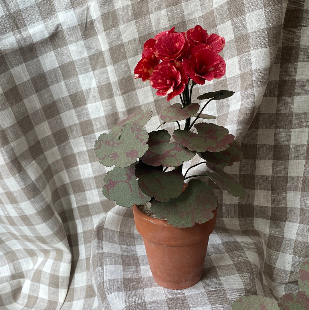 Paper Geranium