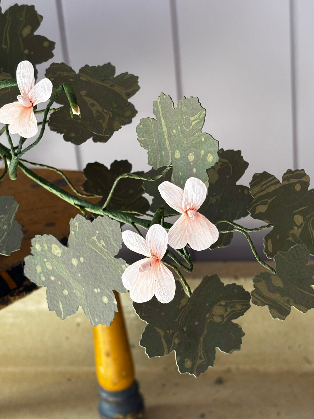 Paper geranium