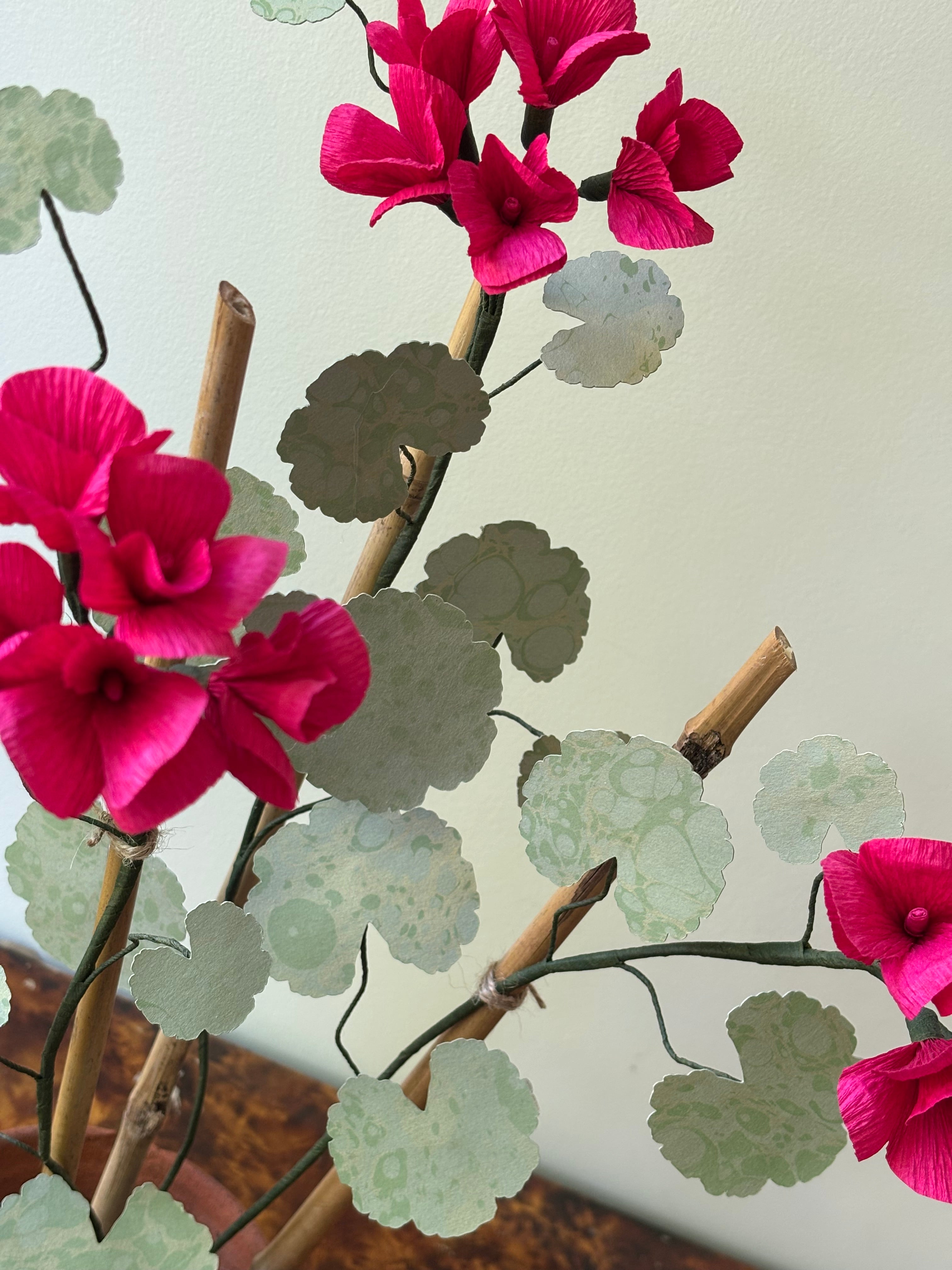 Paper Geranium