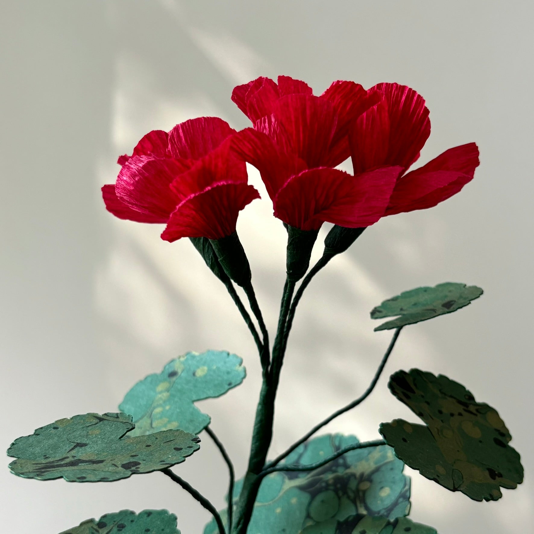 Paper Geranium