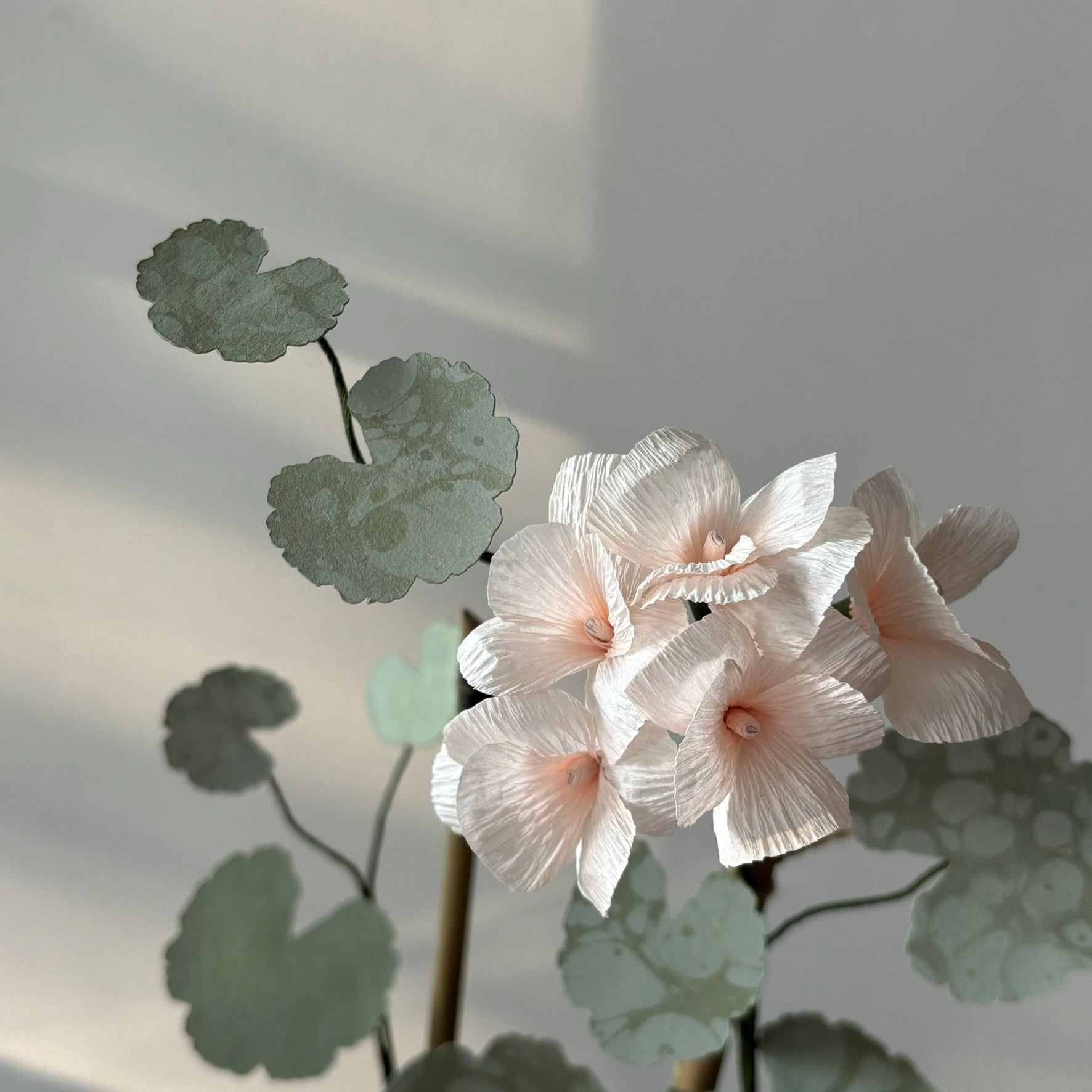 Paper Geranium
