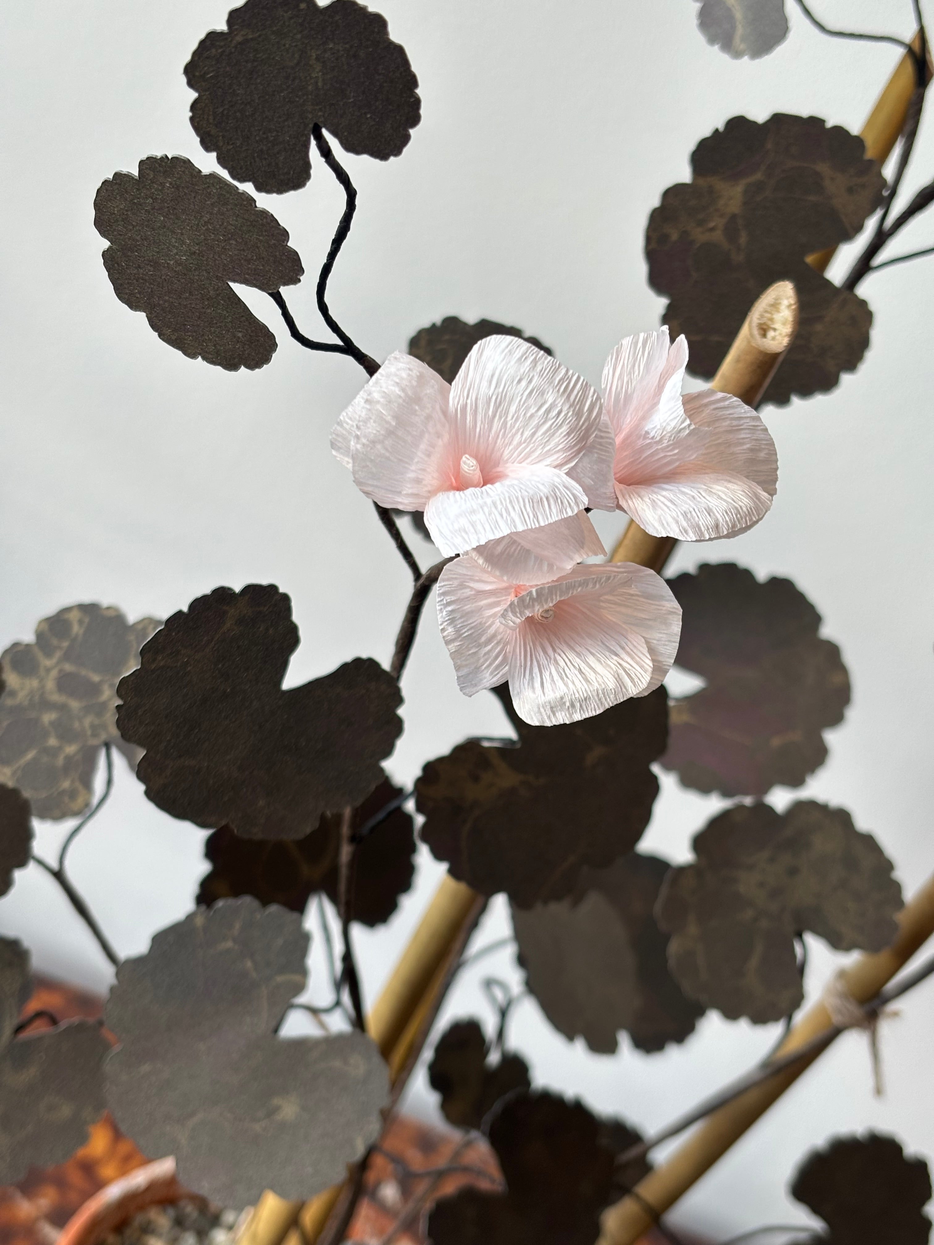 Paper Geranium