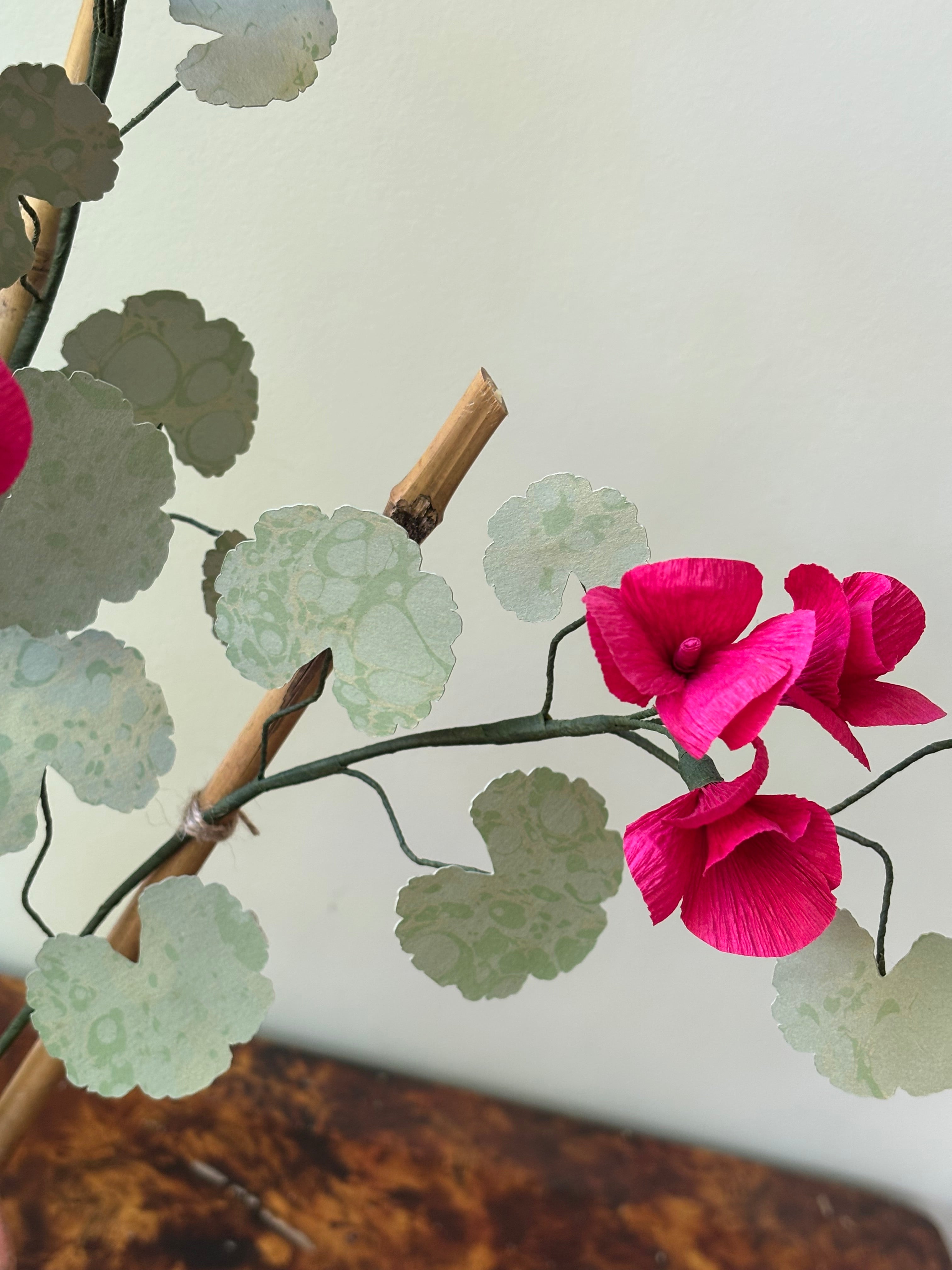 Paper Geranium
