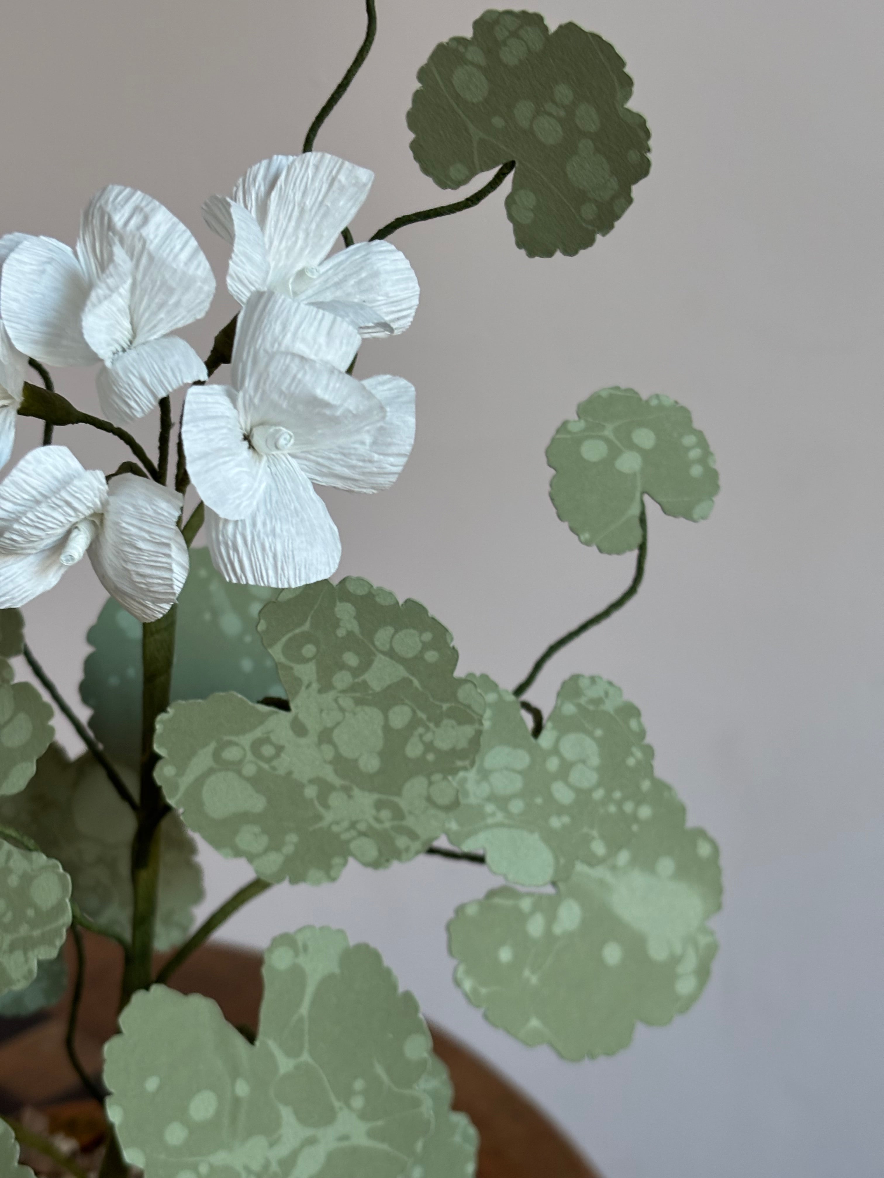 Paper Geranium