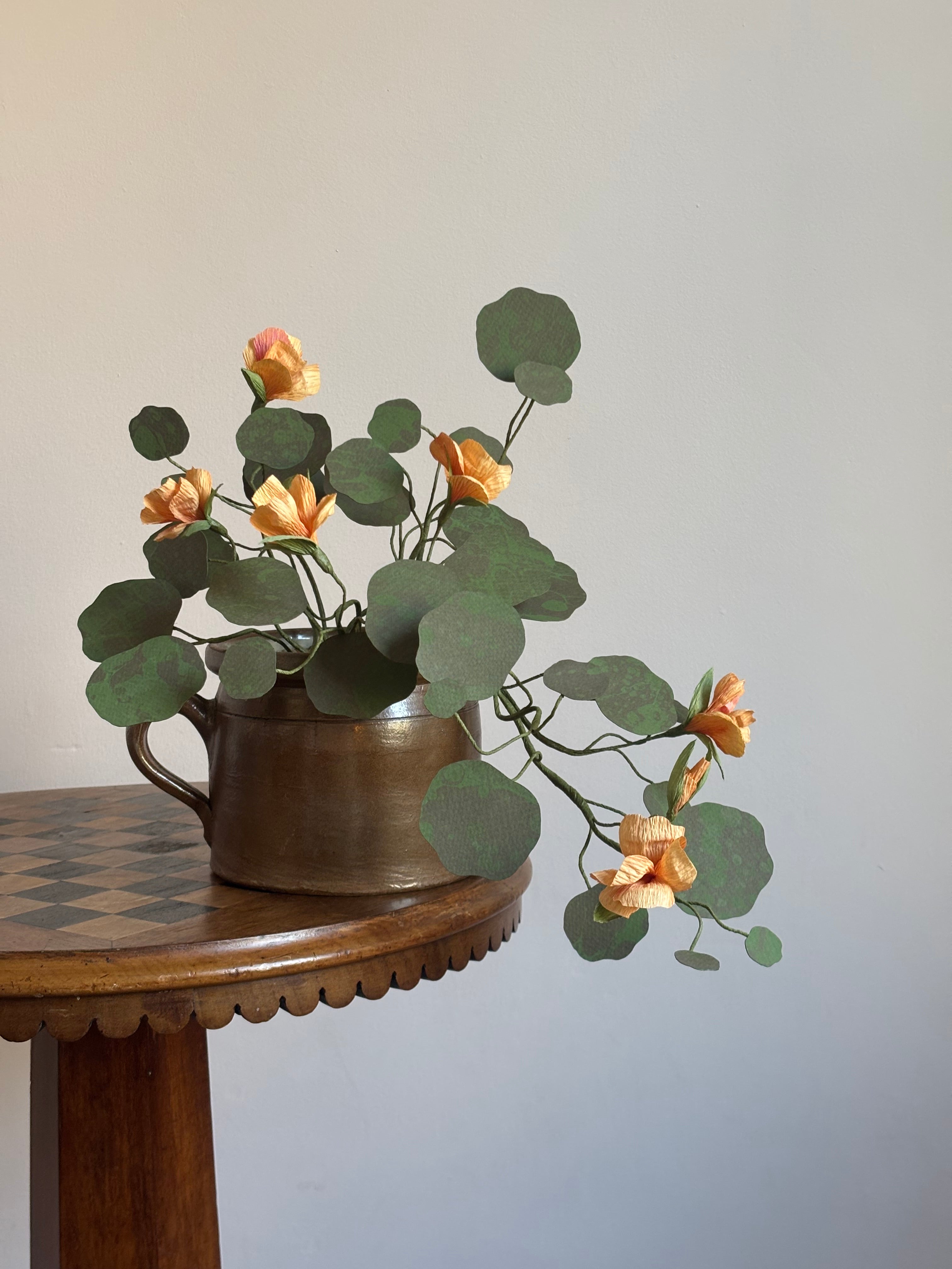 Nasturtium, trailing