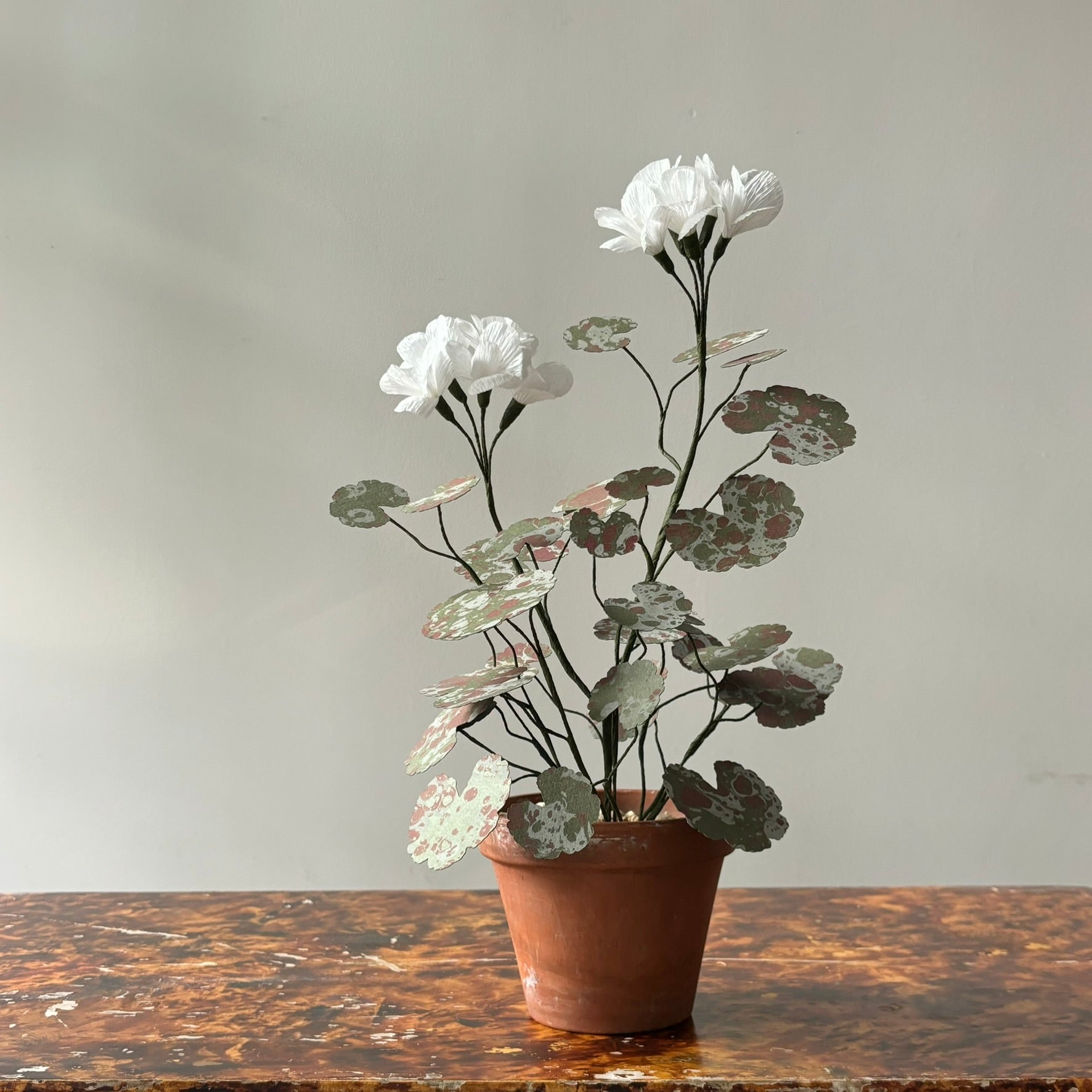 Paper Geranium