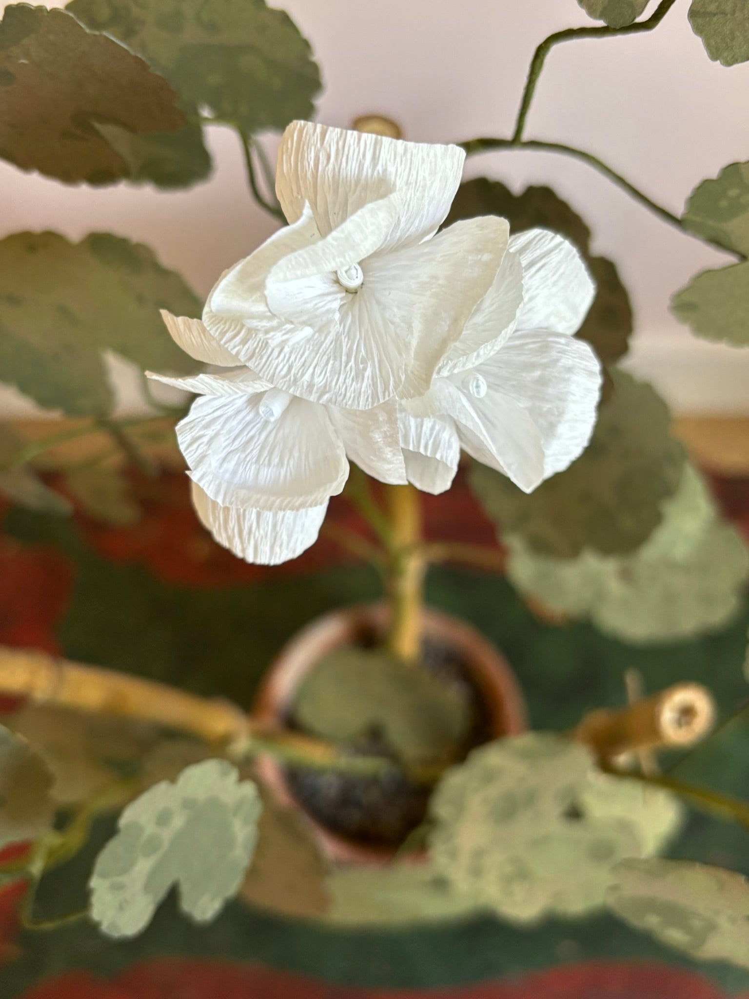 Paper Geranium