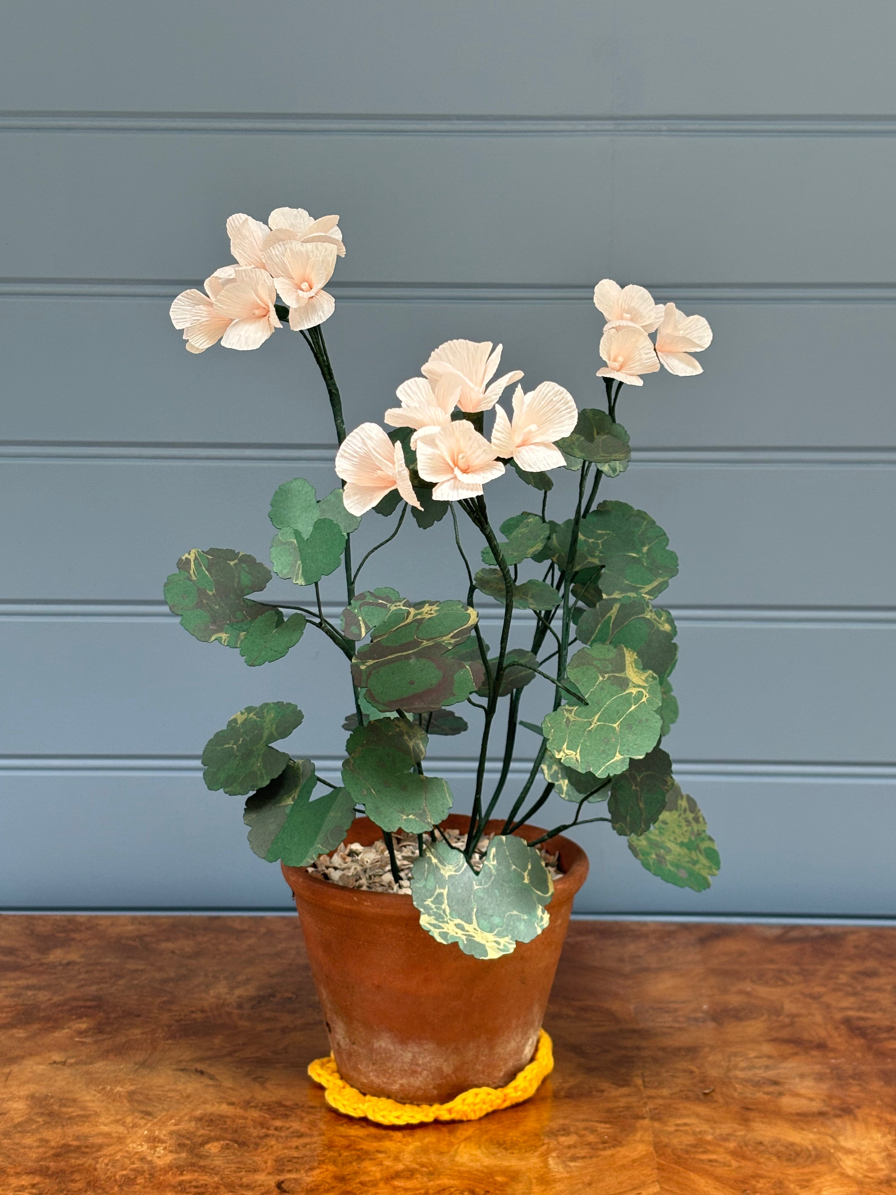 Geranium