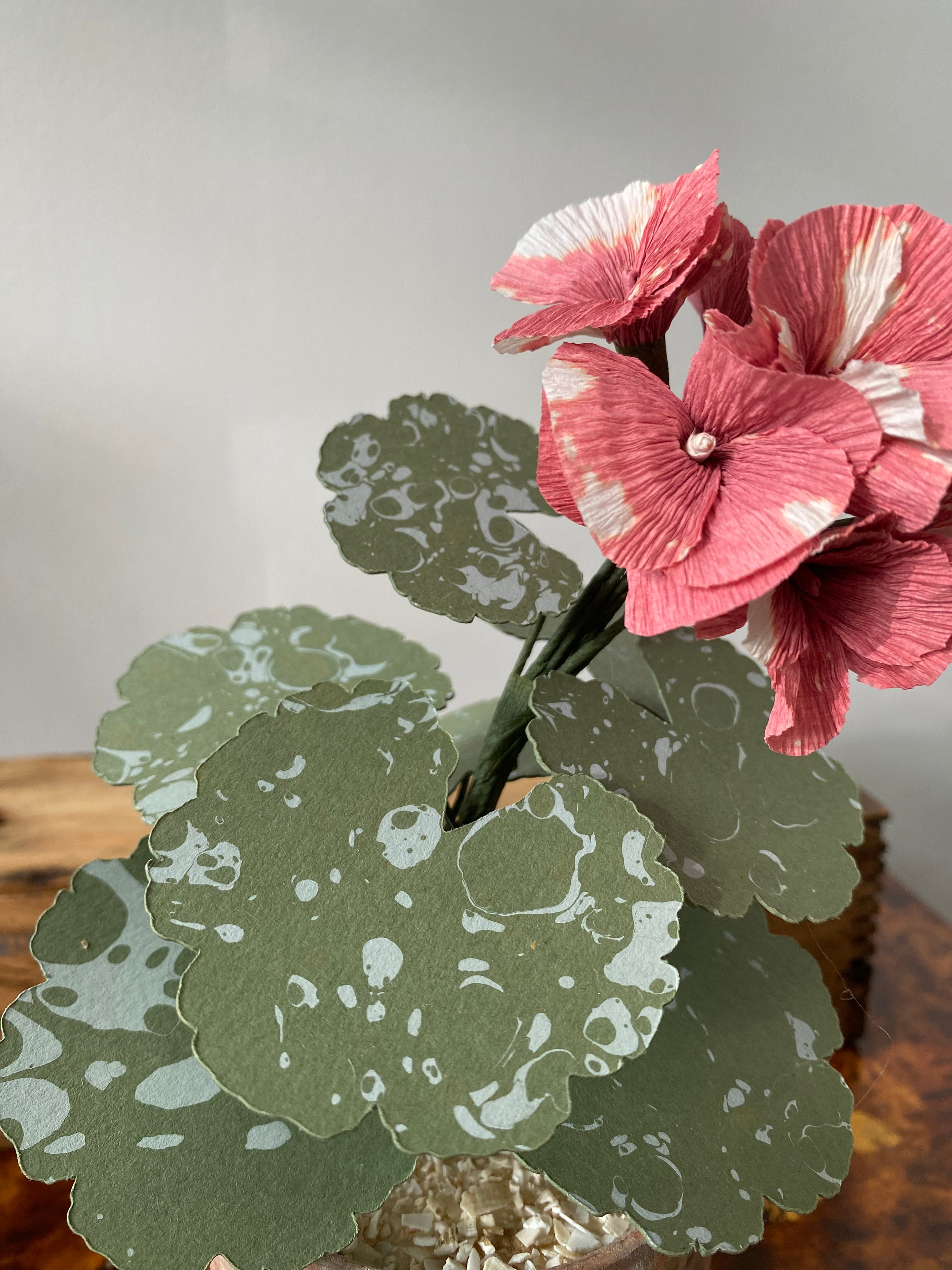 Paper Geranium