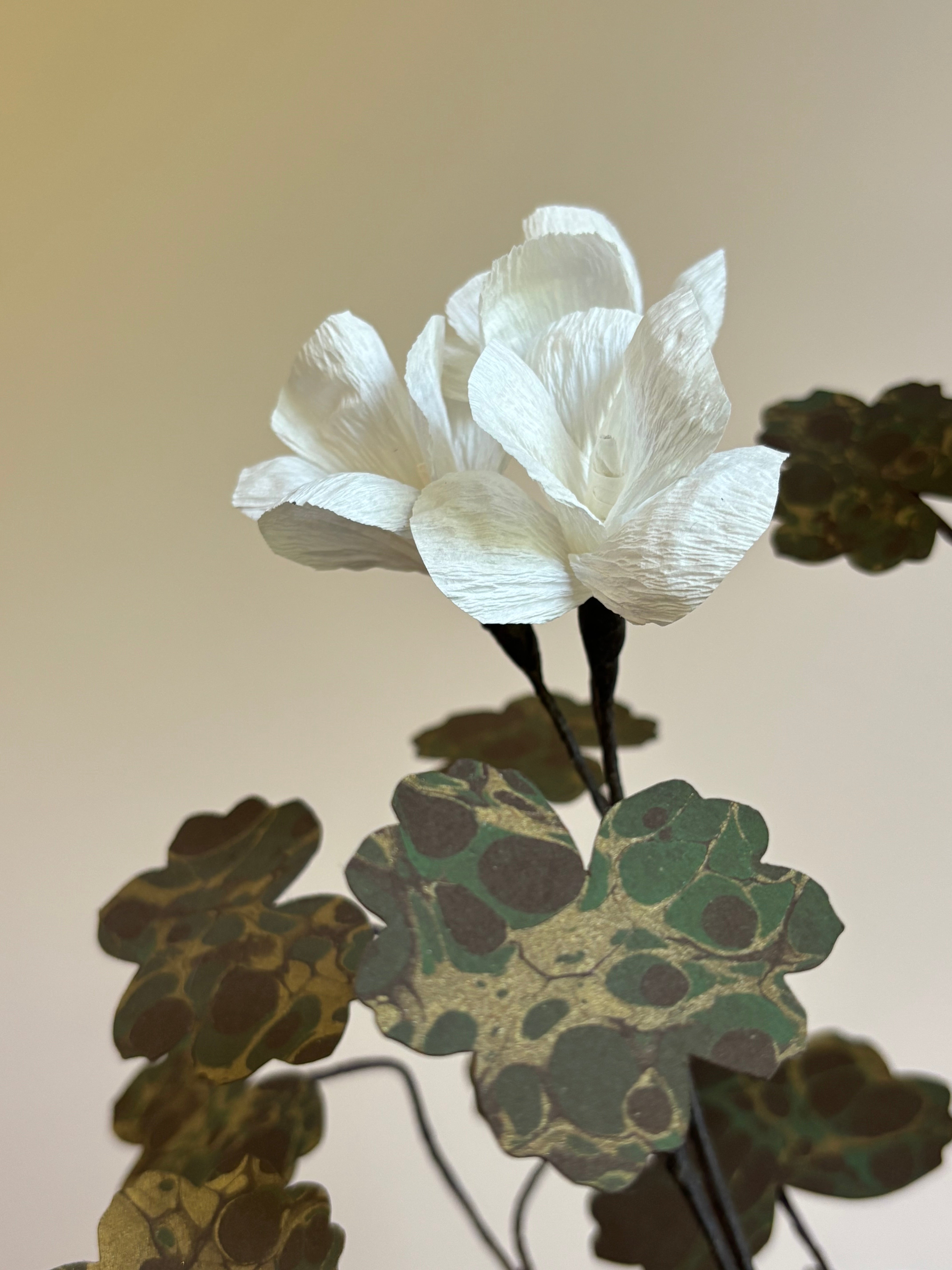 Paper Geranium