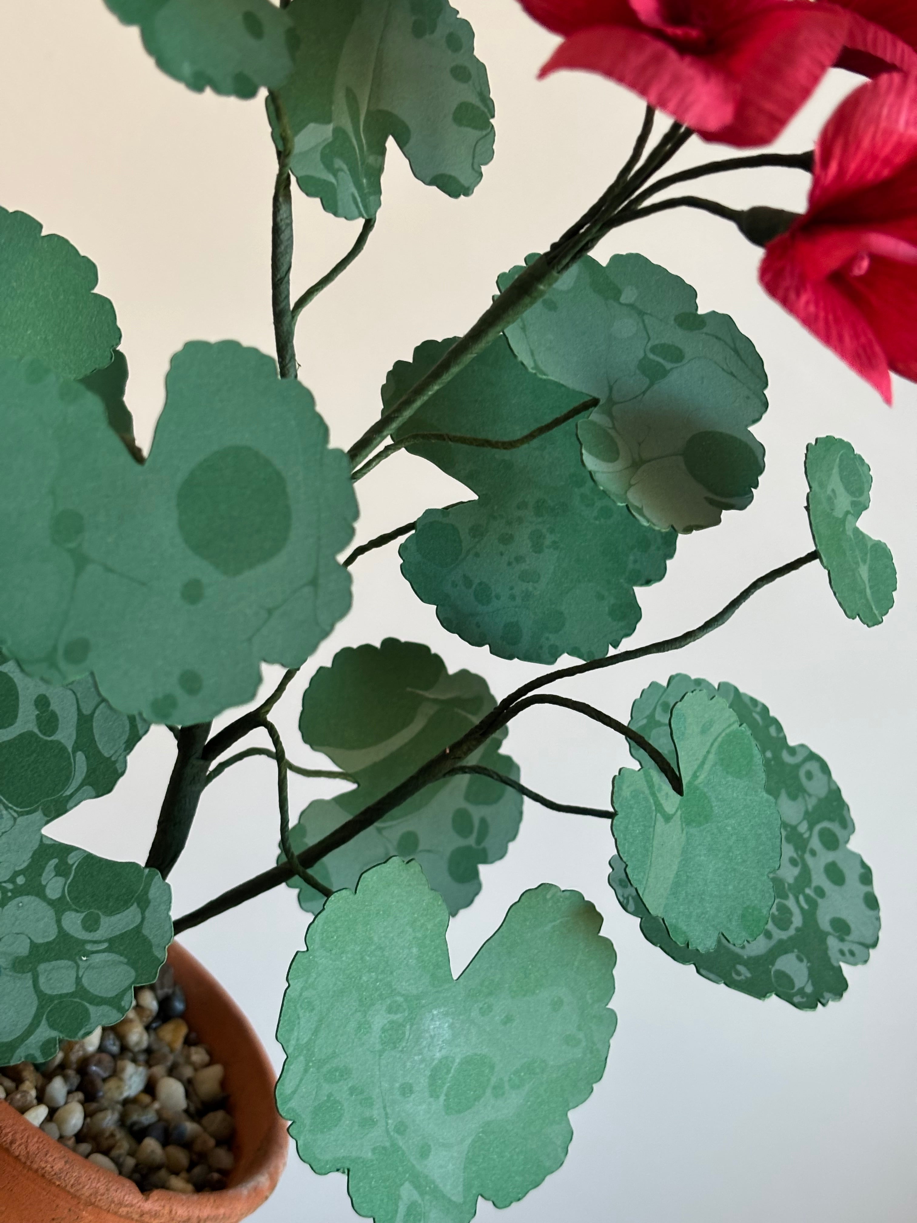 Paper Geranium pair