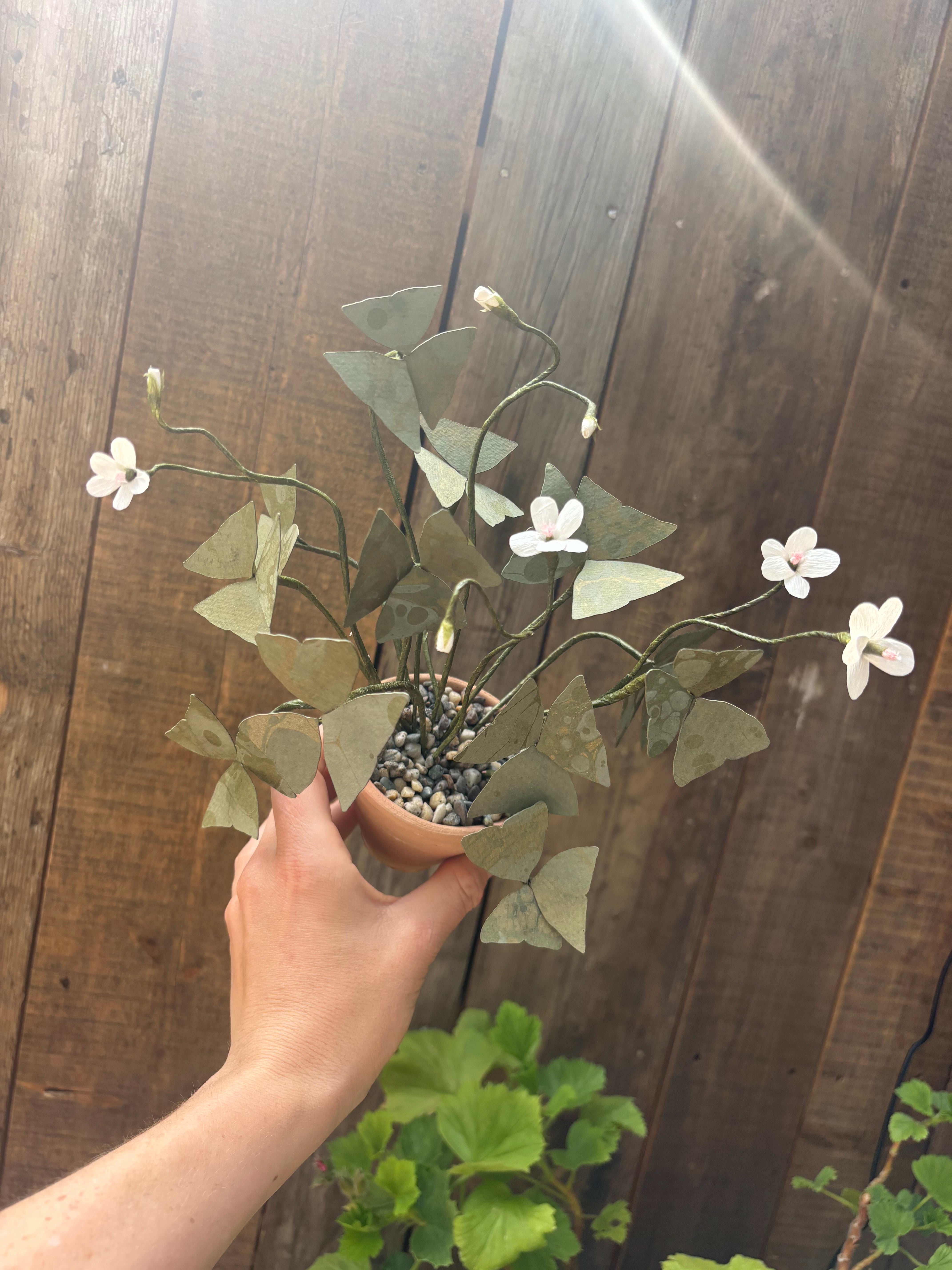 Paper Shamrock