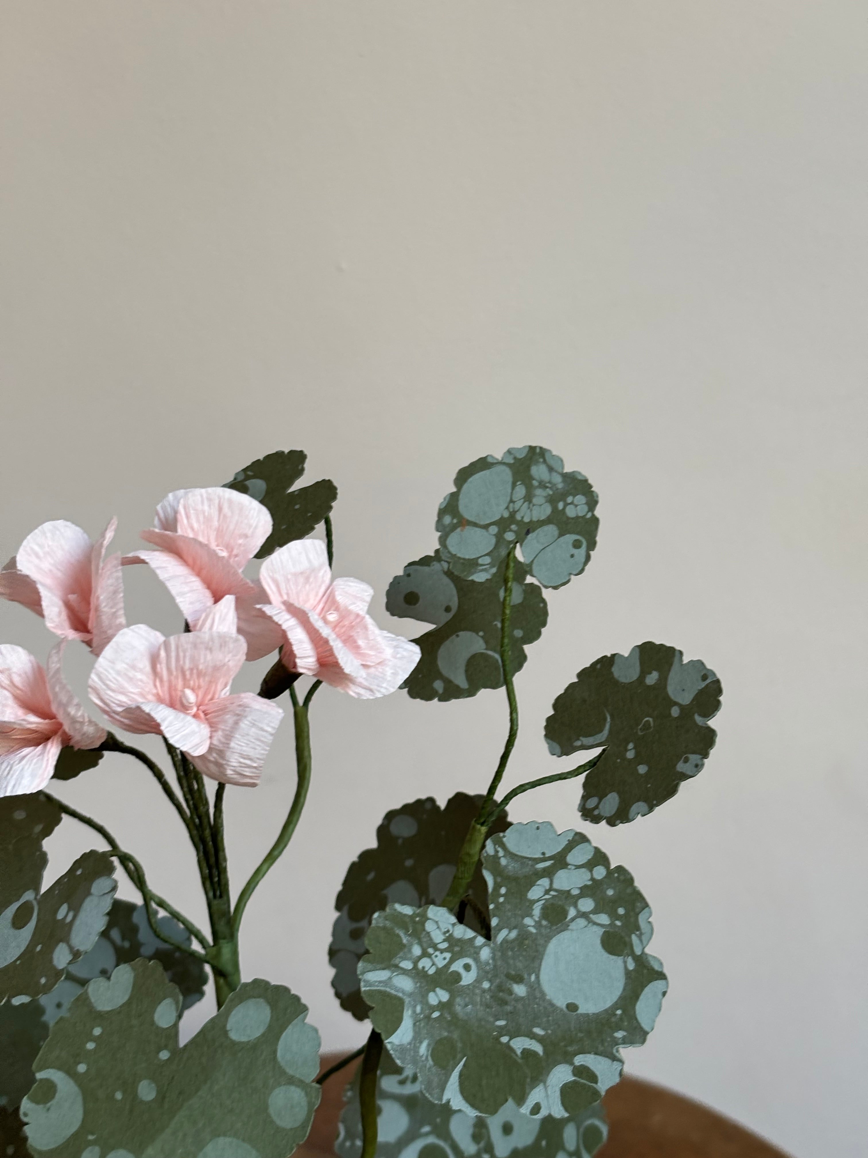 Paper Geranium