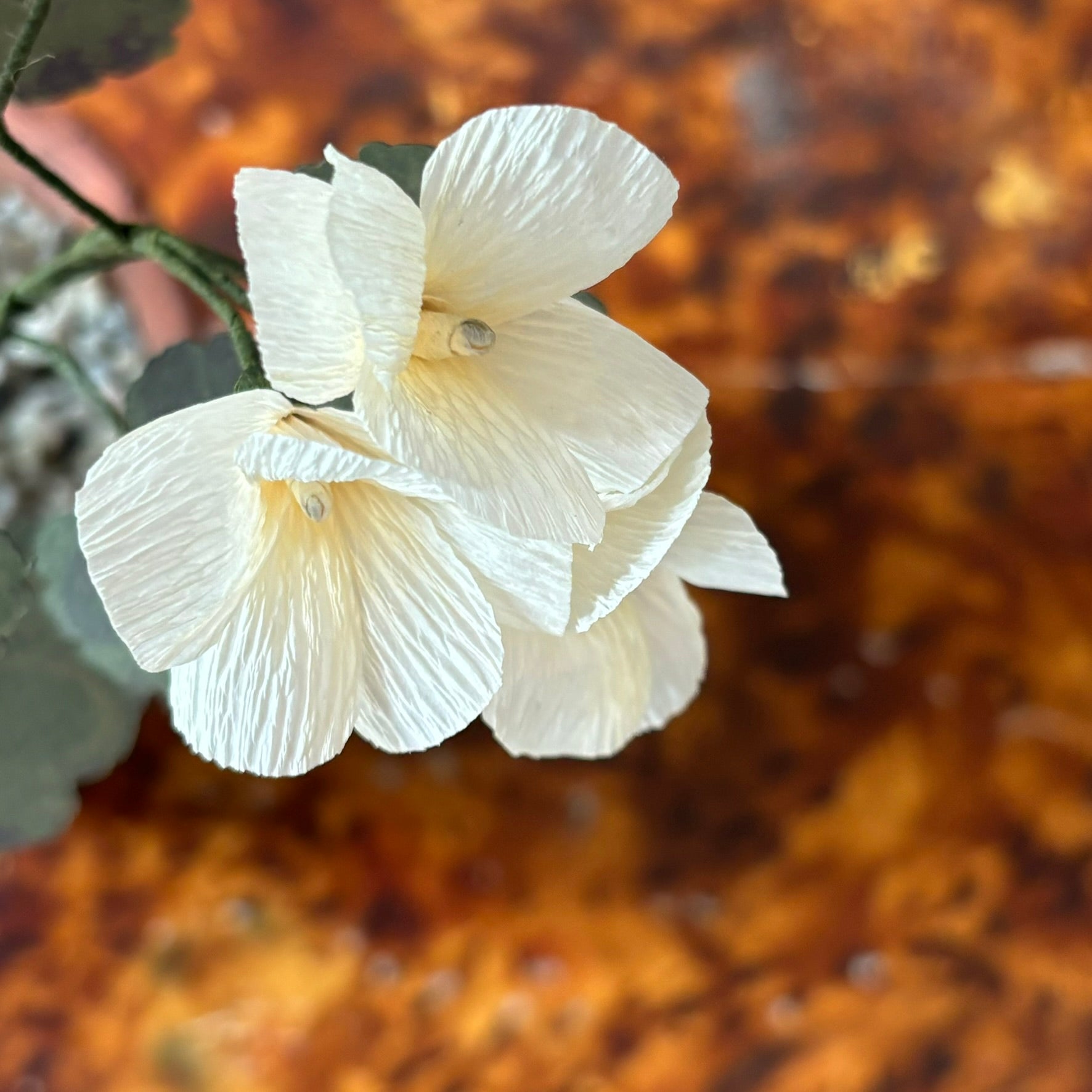 Paper Geranium
