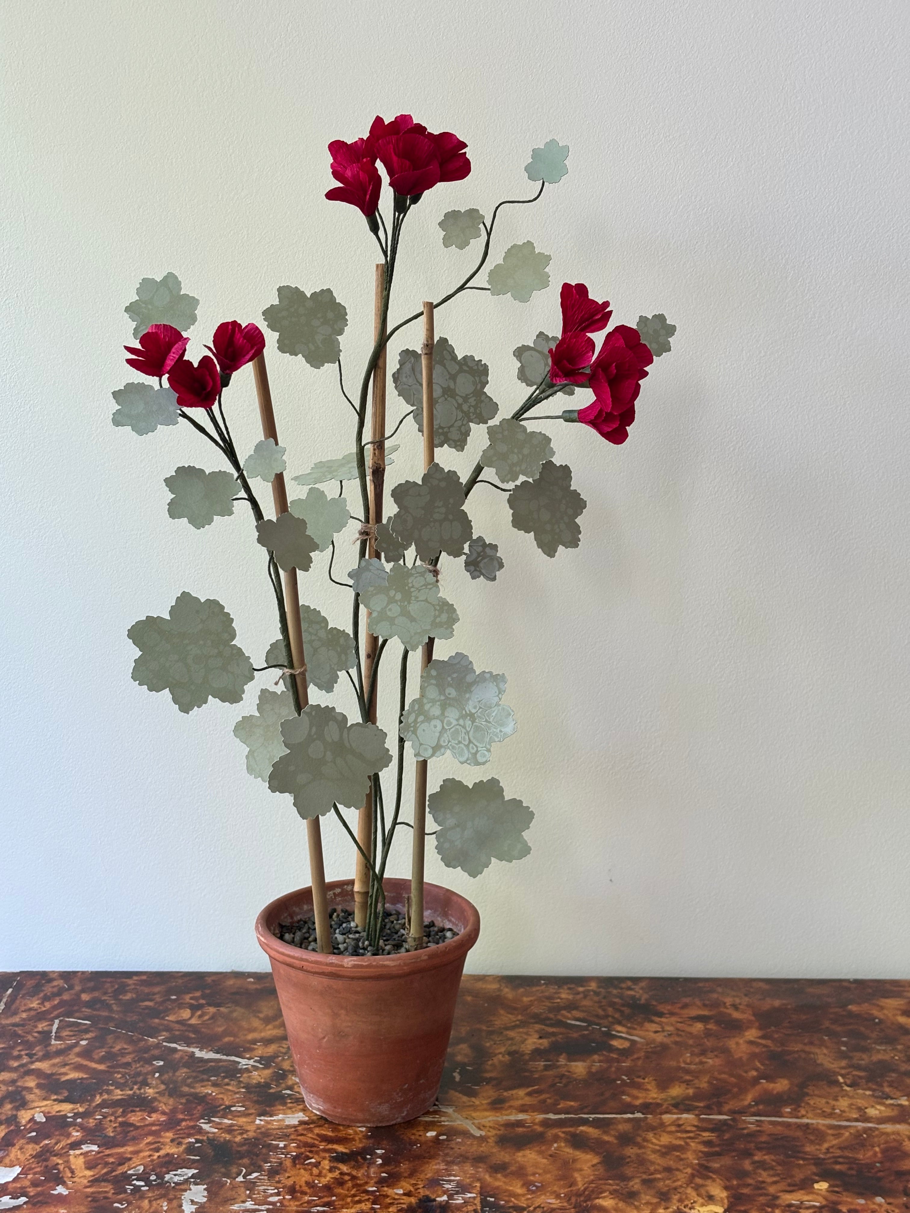 Paper Geranium