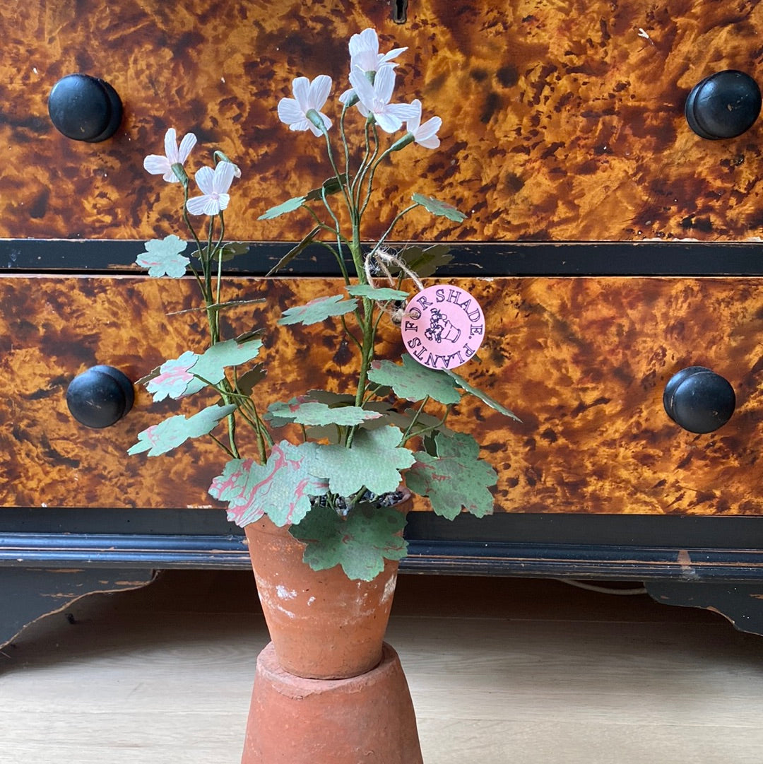 Paper Geranium