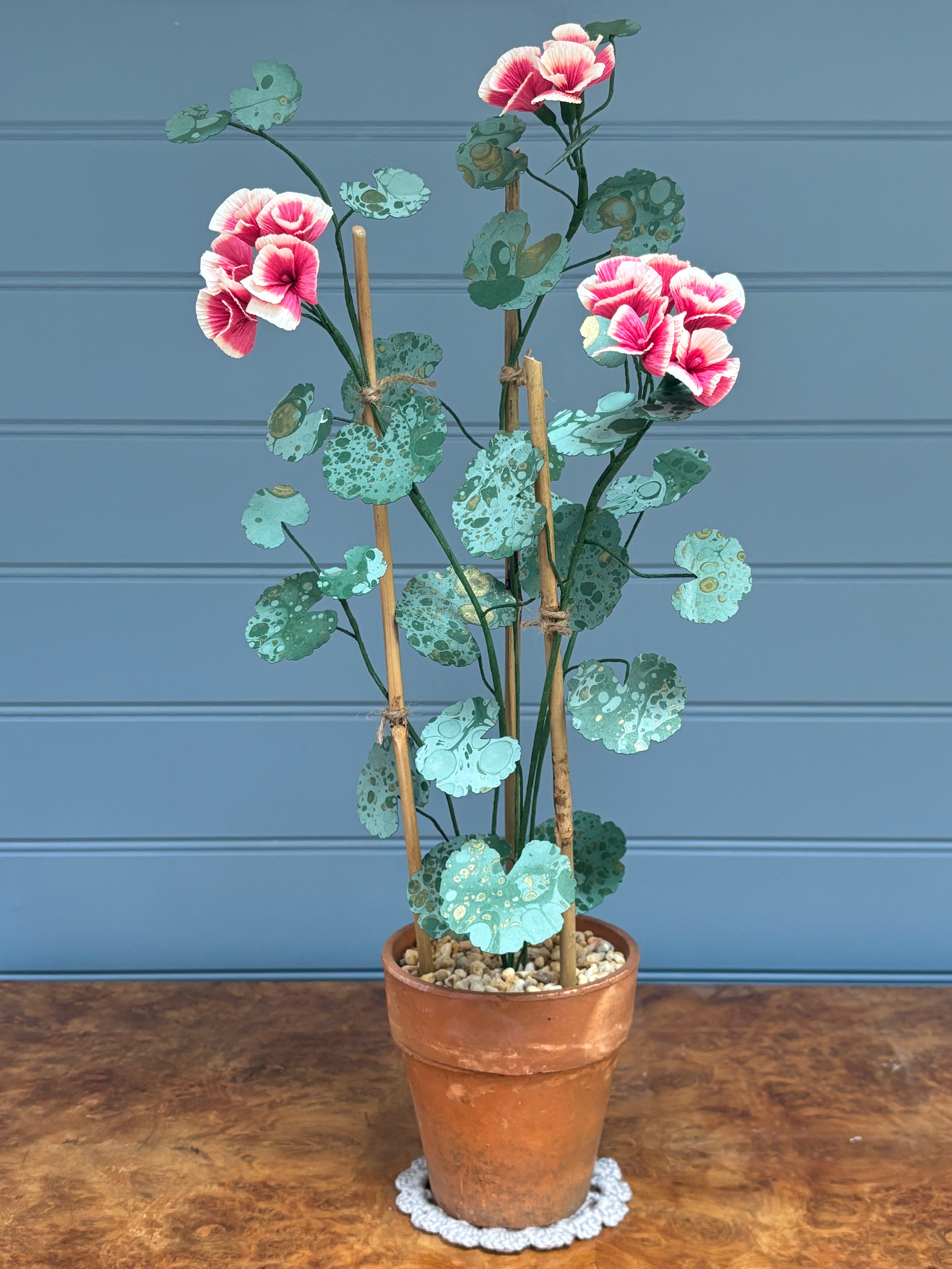 Geranium