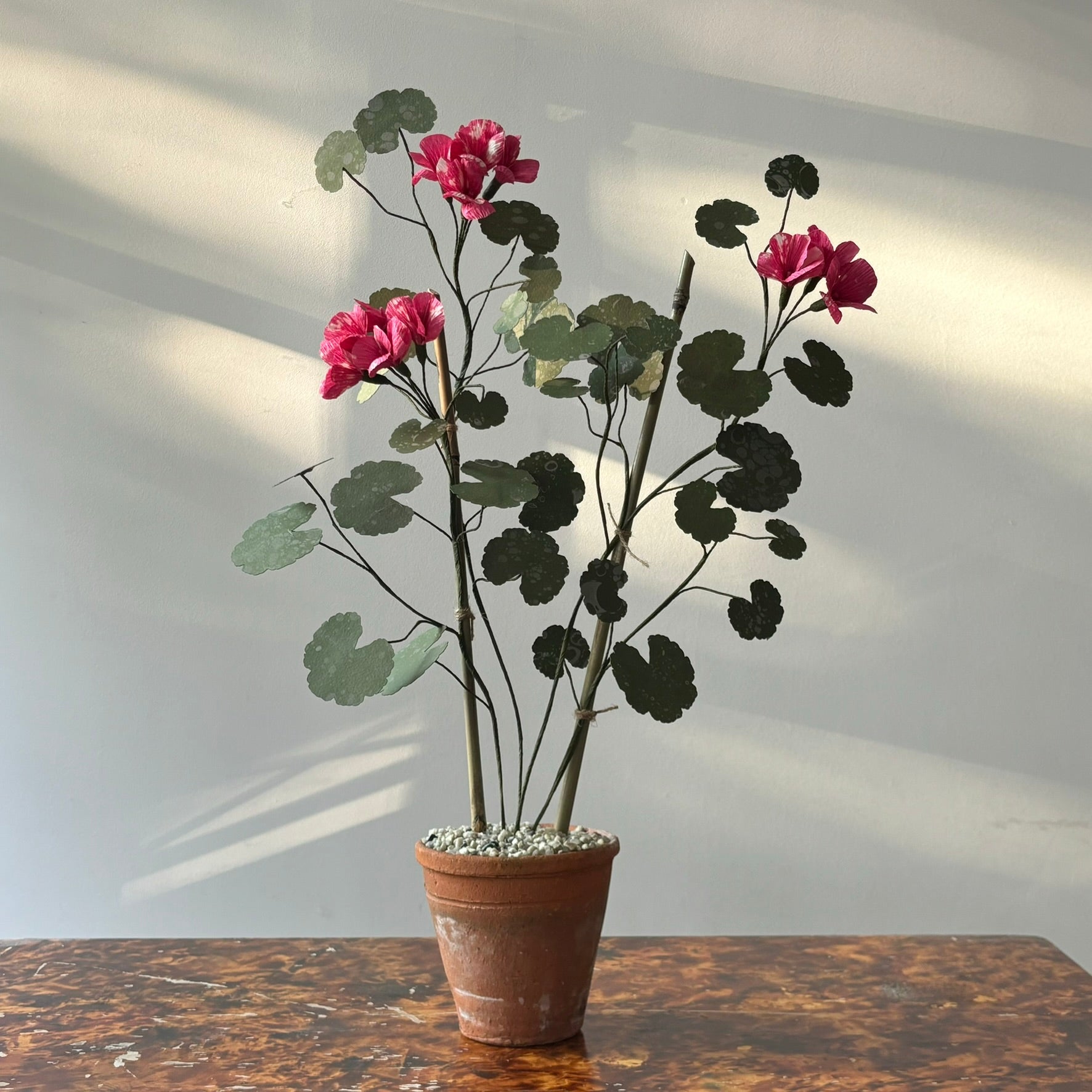 Paper Geranium