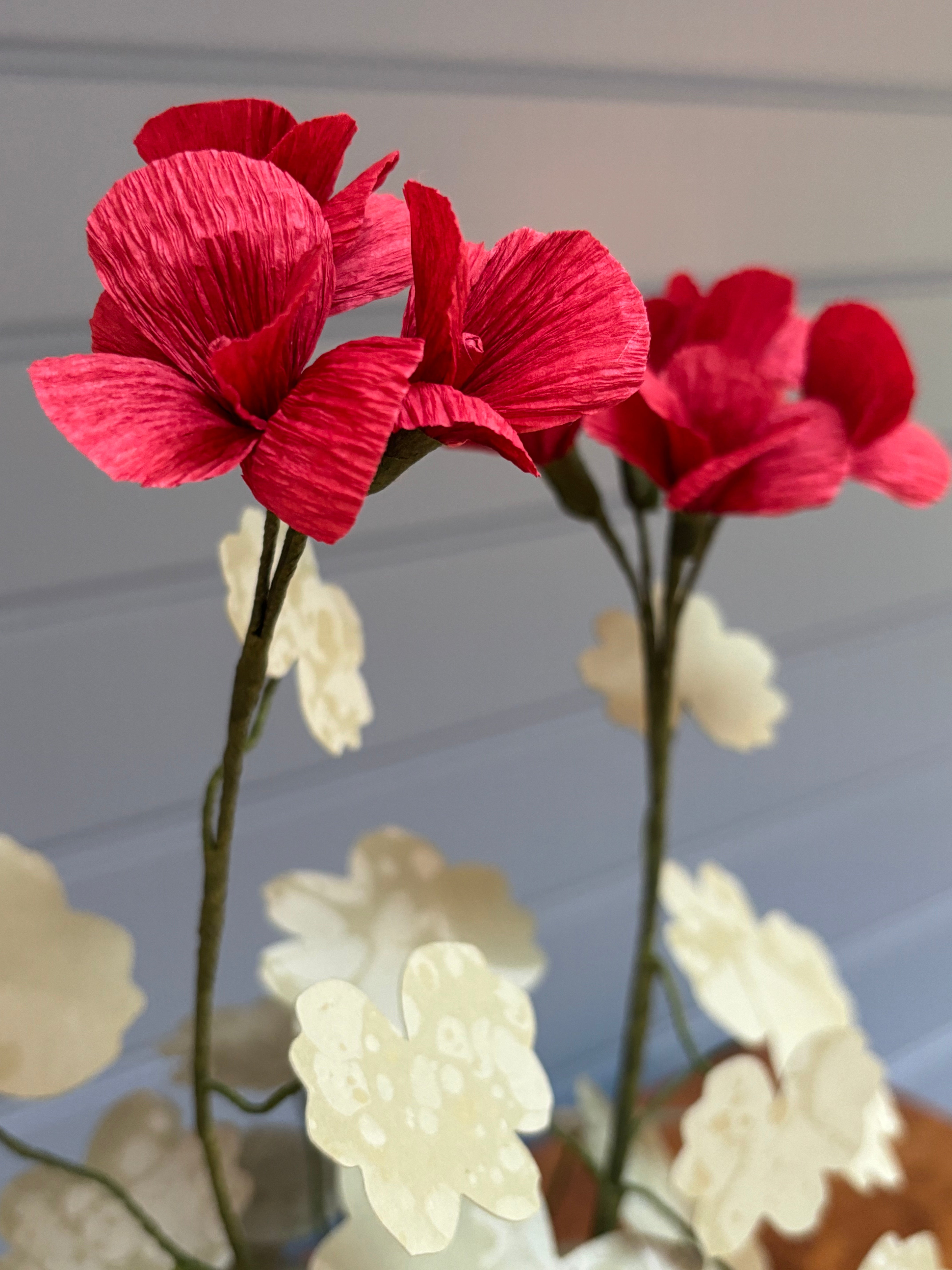 Geranium