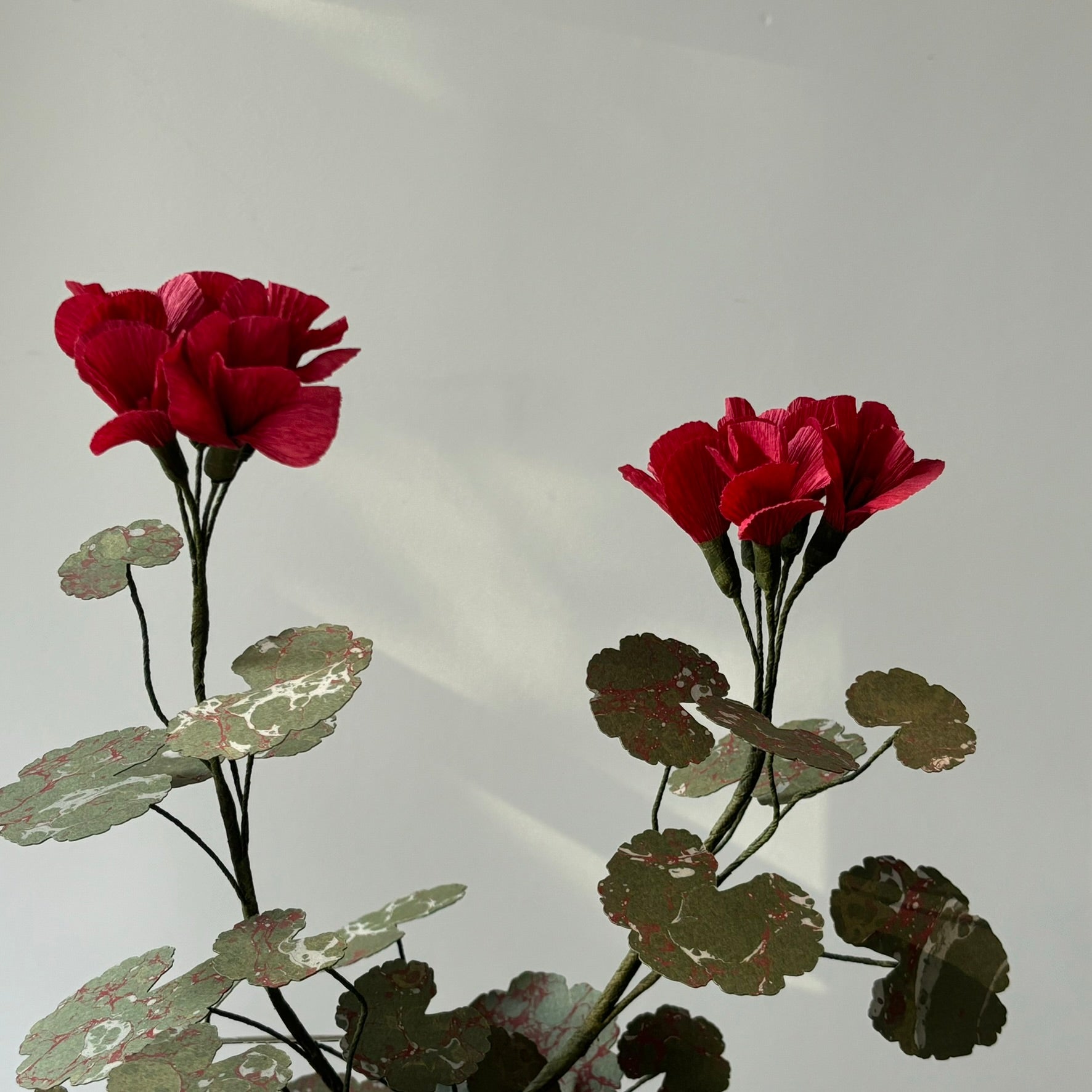 Paper Geranium