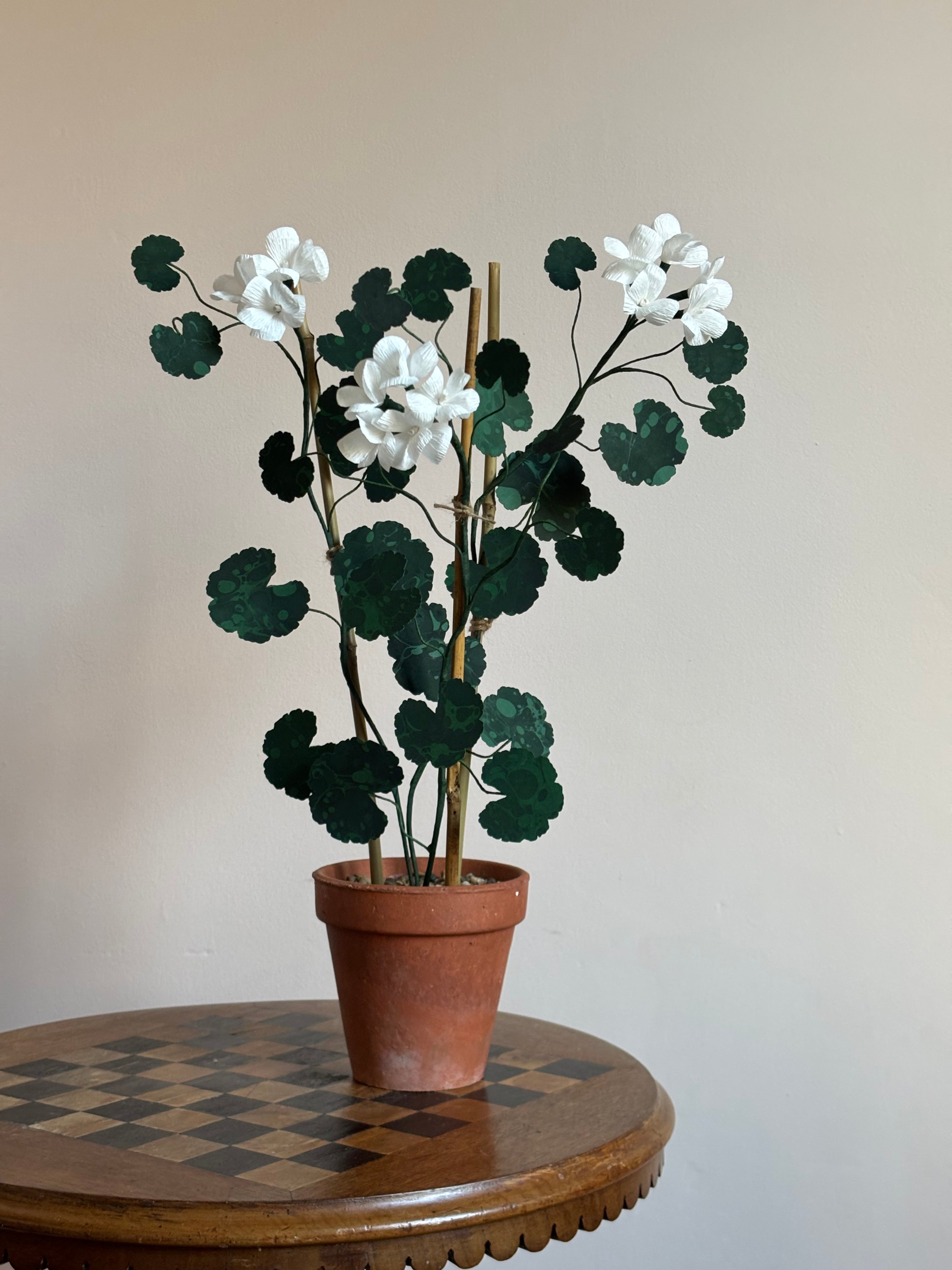 Paper Geranium