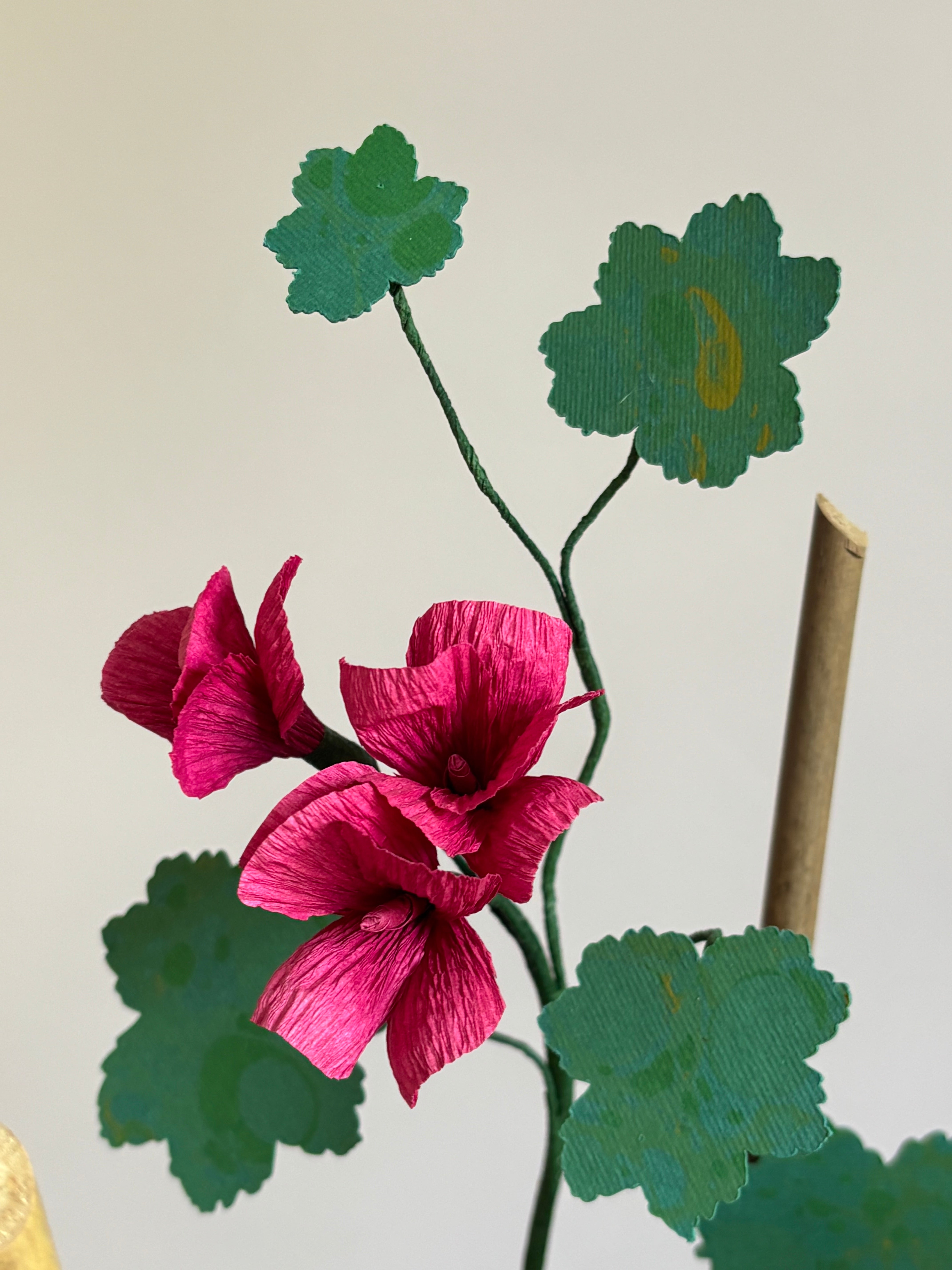 Paper Geranium