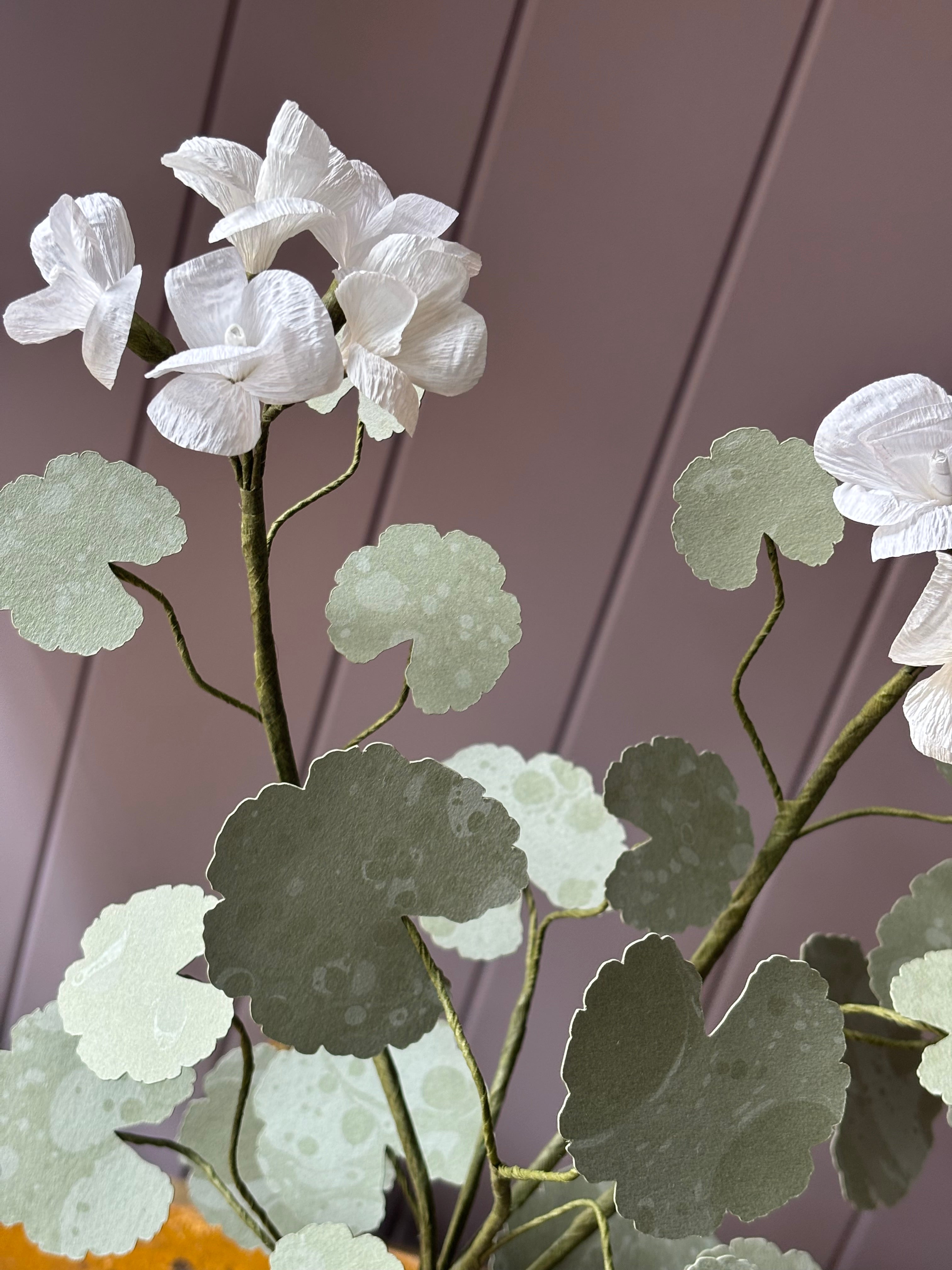 Paper geranium