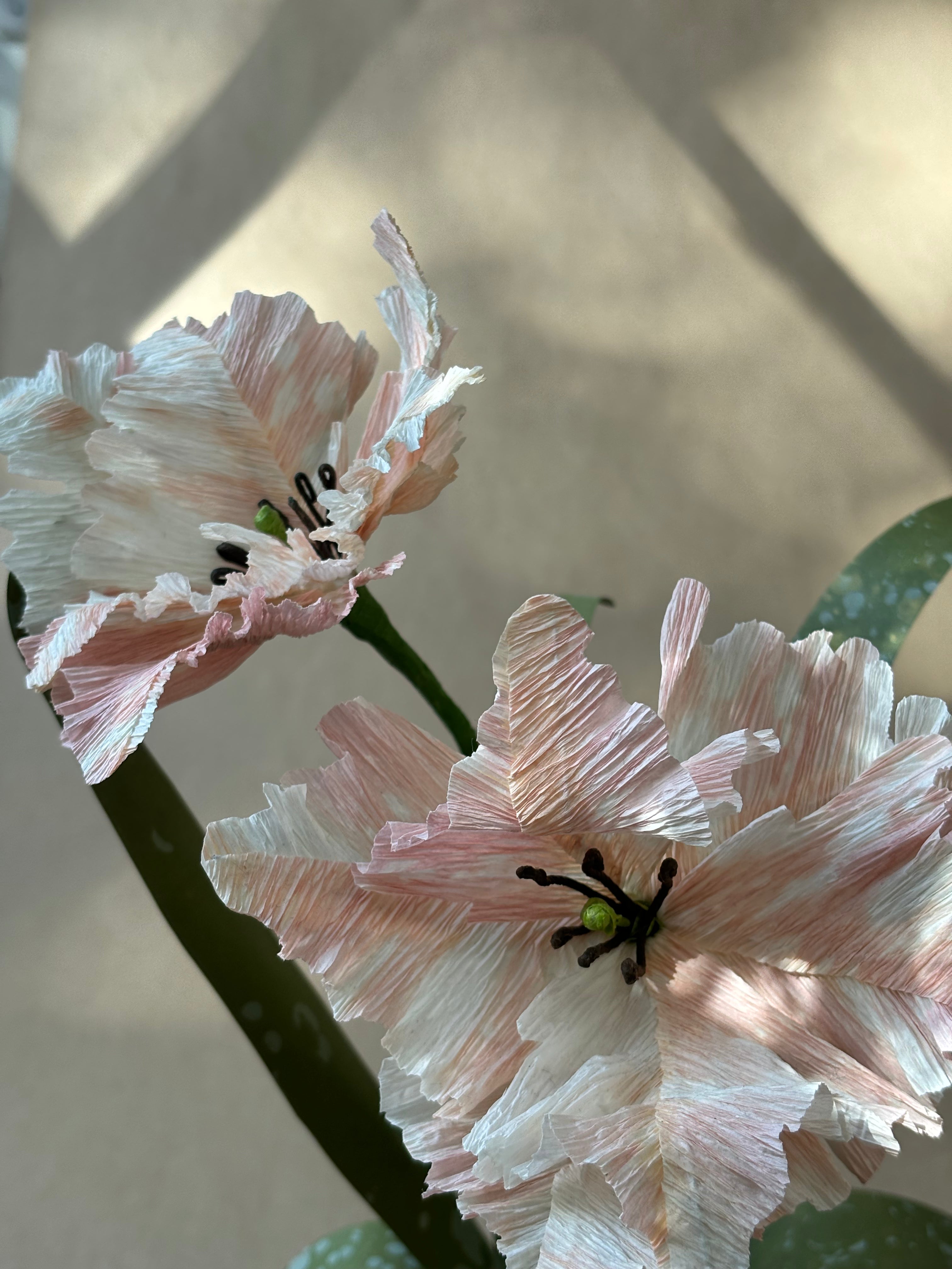 Parrot Tulip