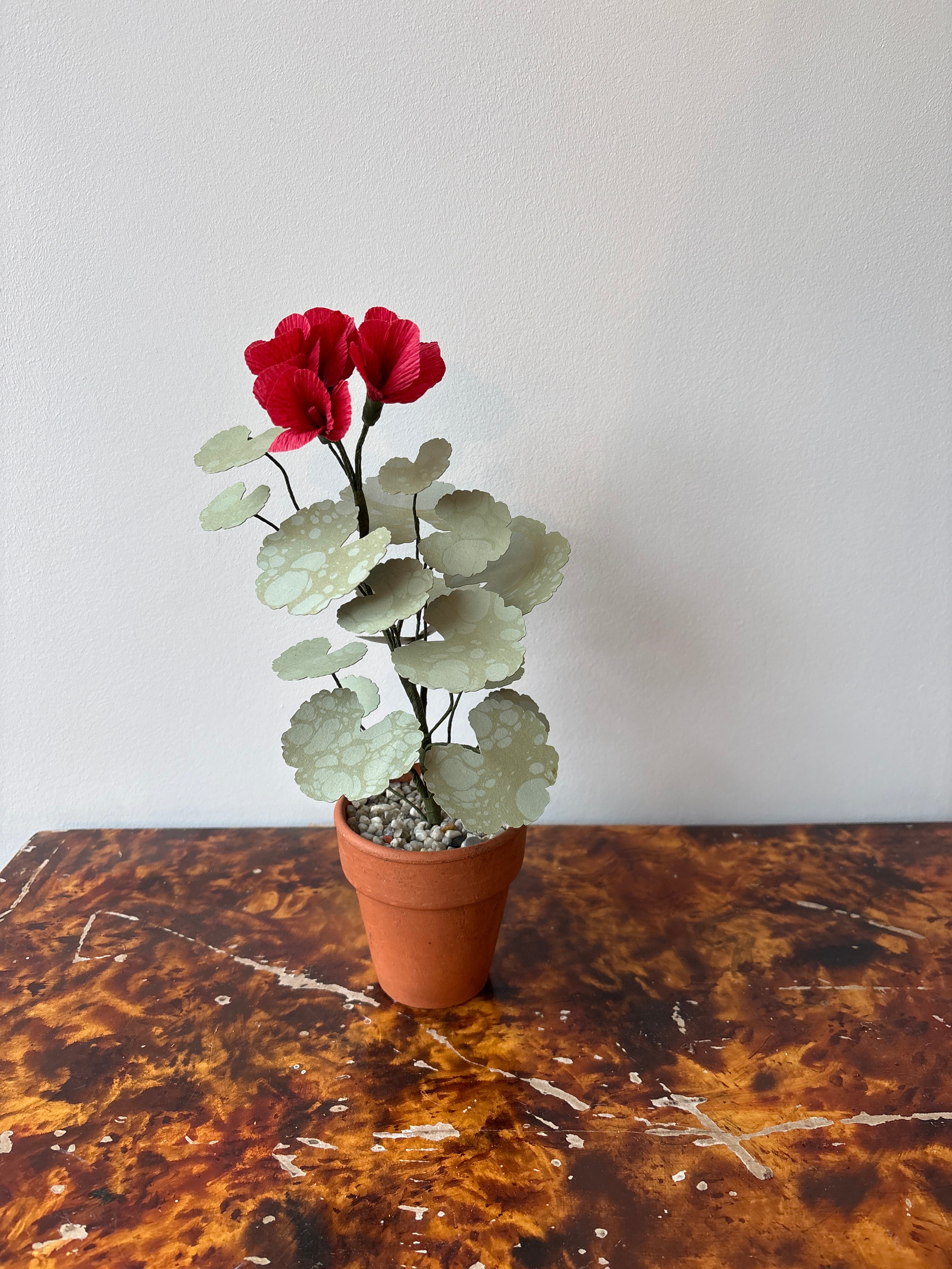 Paper Geranium