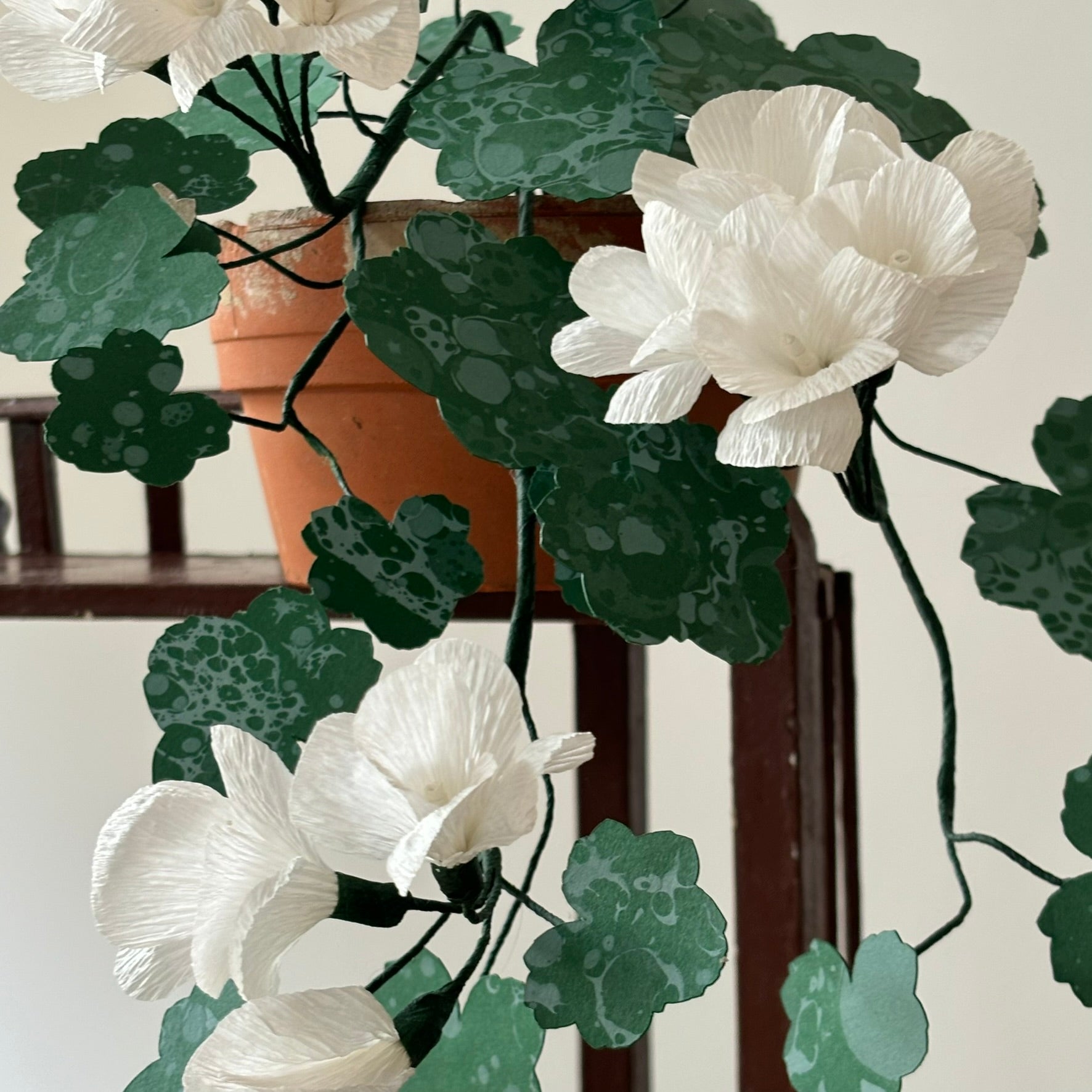 Paper trailing Geranium