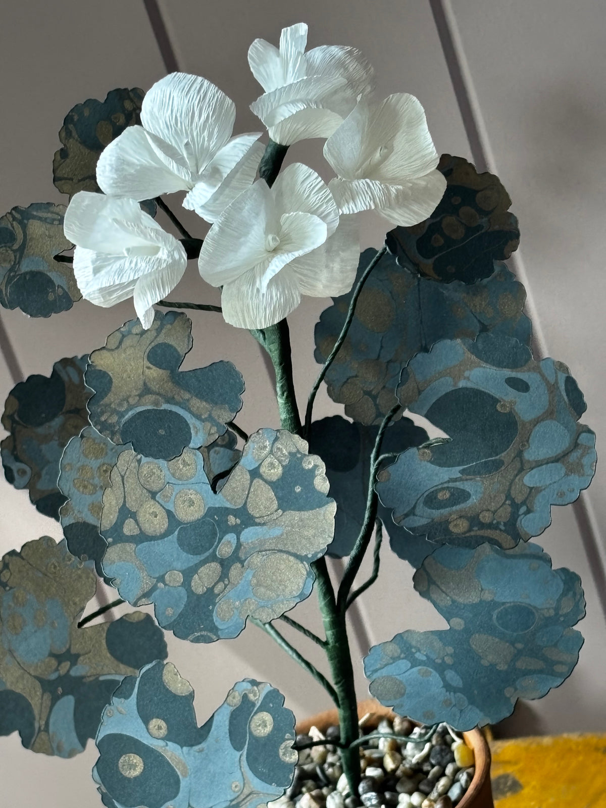 Paper geranium