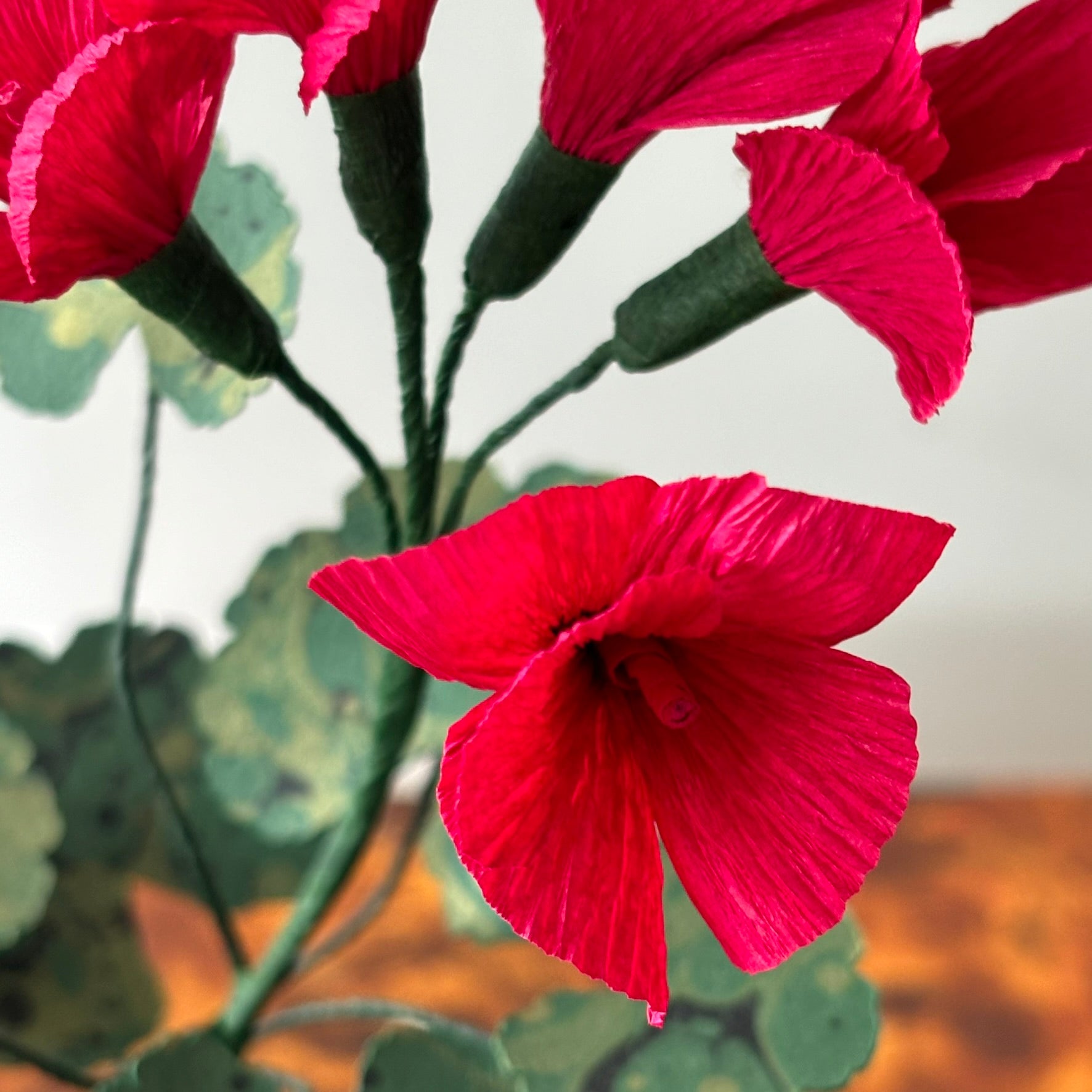 Paper Geranium