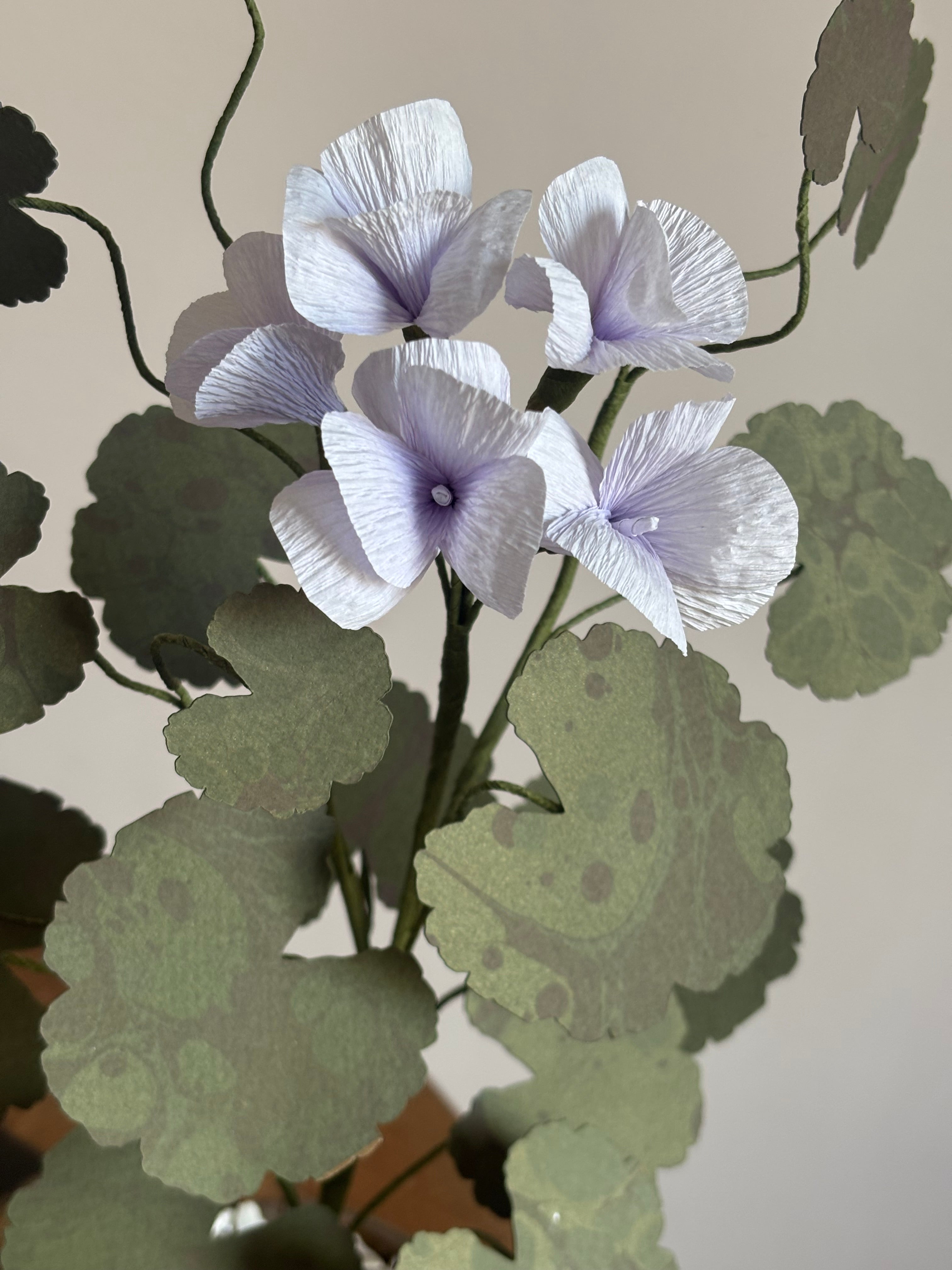 Paper Geranium