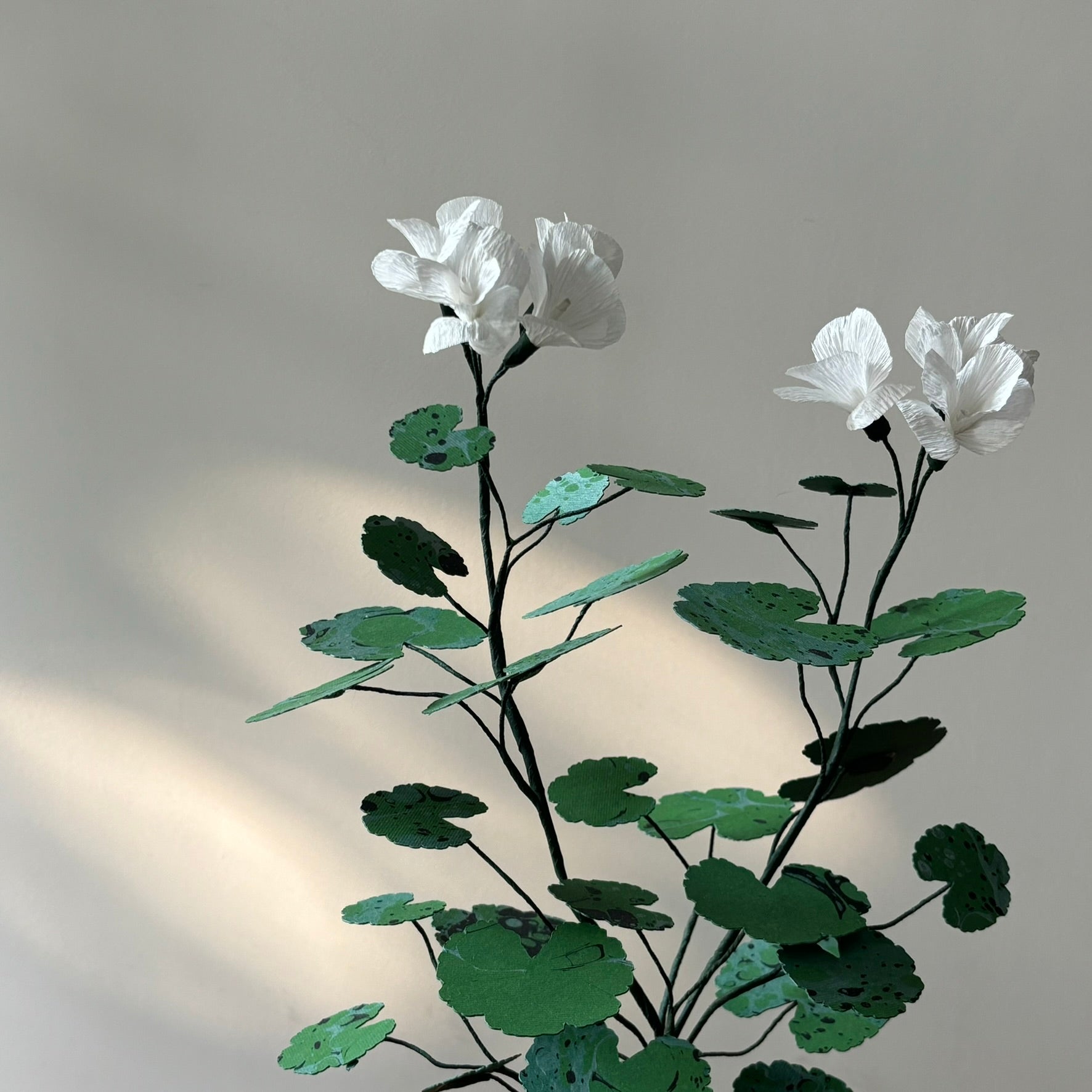 Paper Geranium