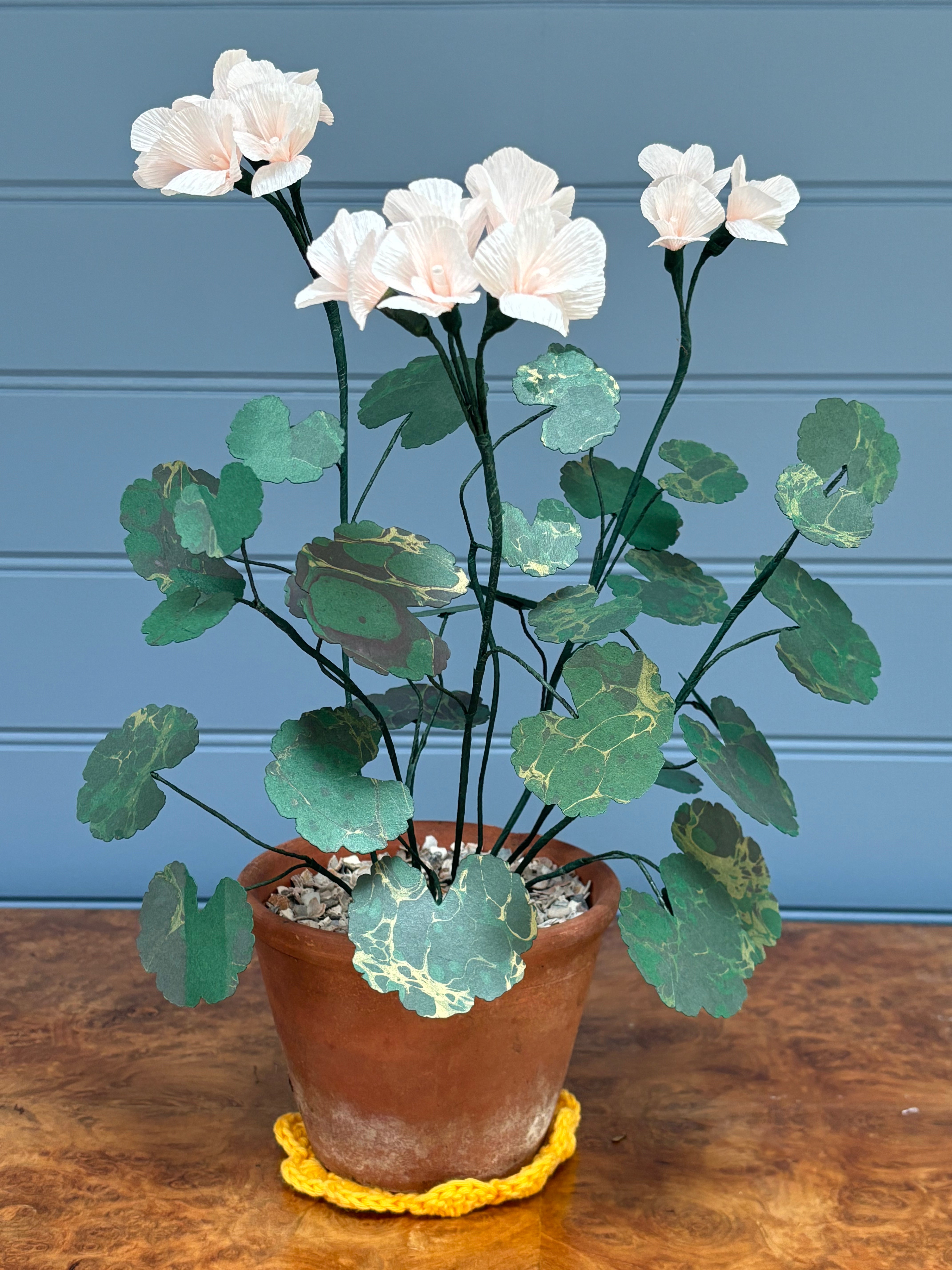 Geranium