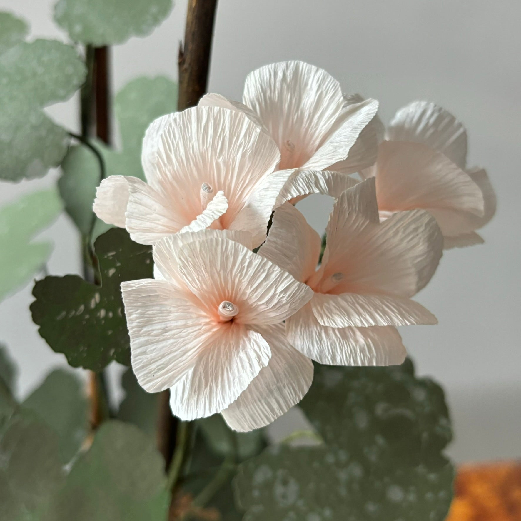 Paper Geranium